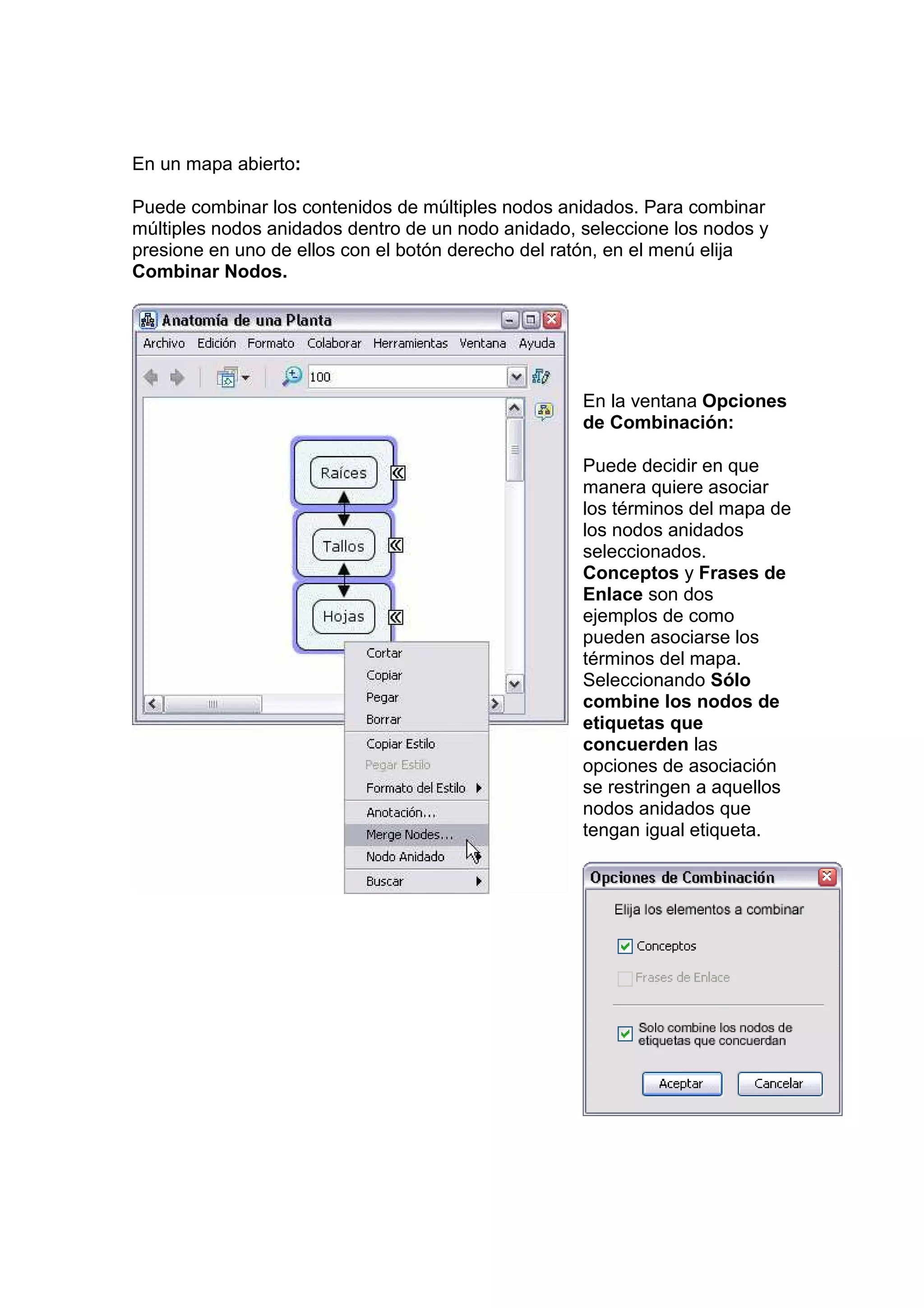 En un mapa abierto:

Puede combinar los contenidos de múltiples nodos anidados. Para combinar
múltiples nodos anidados dentro de un nodo anidado, seleccione los nodos y
presione en uno de ellos con el botón derecho del ratón, en el menú elija
Combinar Nodos.




                                                    En la ventana Opciones
                                                    de Combinación:

                                                    Puede decidir en que
                                                    manera quiere asociar
                                                    los términos del mapa de
                                                    los nodos anidados
                                                    seleccionados.
                                                    Conceptos y Frases de
                                                    Enlace son dos
                                                    ejemplos de como
                                                    pueden asociarse los
                                                    términos del mapa.
                                                    Seleccionando Sólo
                                                    combine los nodos de
                                                    etiquetas que
                                                    concuerden las
                                                    opciones de asociación
                                                    se restringen a aquellos
                                                    nodos anidados que
                                                    tengan igual etiqueta.
 