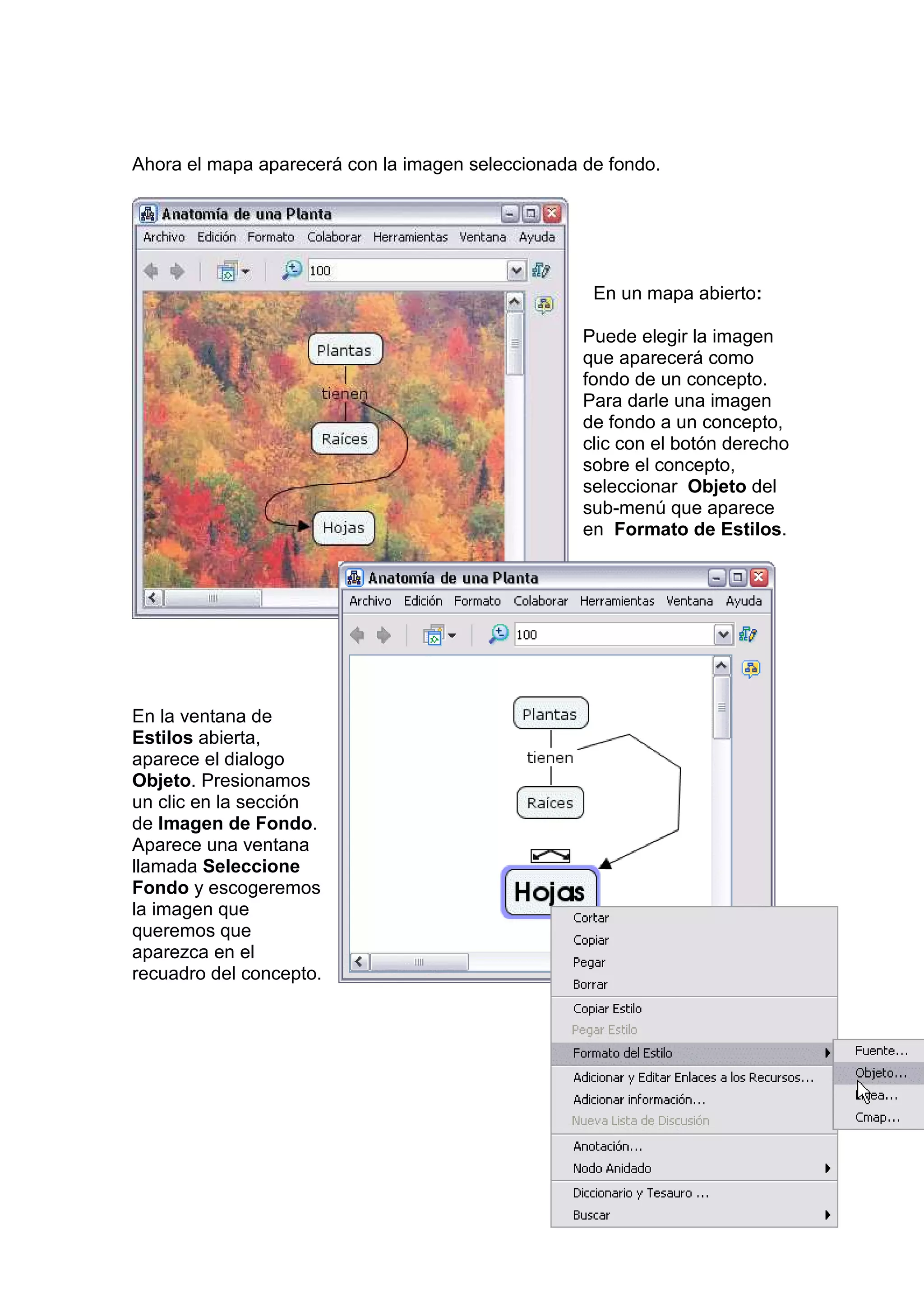 Ahora el mapa aparecerá con la imagen seleccionada de fondo.




                                                    En un mapa abierto:

                                                   Puede elegir la imagen
                                                   que aparecerá como
                                                   fondo de un concepto.
                                                   Para darle una imagen
                                                   de fondo a un concepto,
                                                   clic con el botón derecho
                                                   sobre el concepto,
                                                   seleccionar Objeto del
                                                   sub-menú que aparece
                                                   en Formato de Estilos.




En la ventana de
Estilos abierta,
aparece el dialogo
Objeto. Presionamos
un clic en la sección
de Imagen de Fondo.
Aparece una ventana
llamada Seleccione
Fondo y escogeremos
la imagen que
queremos que
aparezca en el
recuadro del concepto.
 