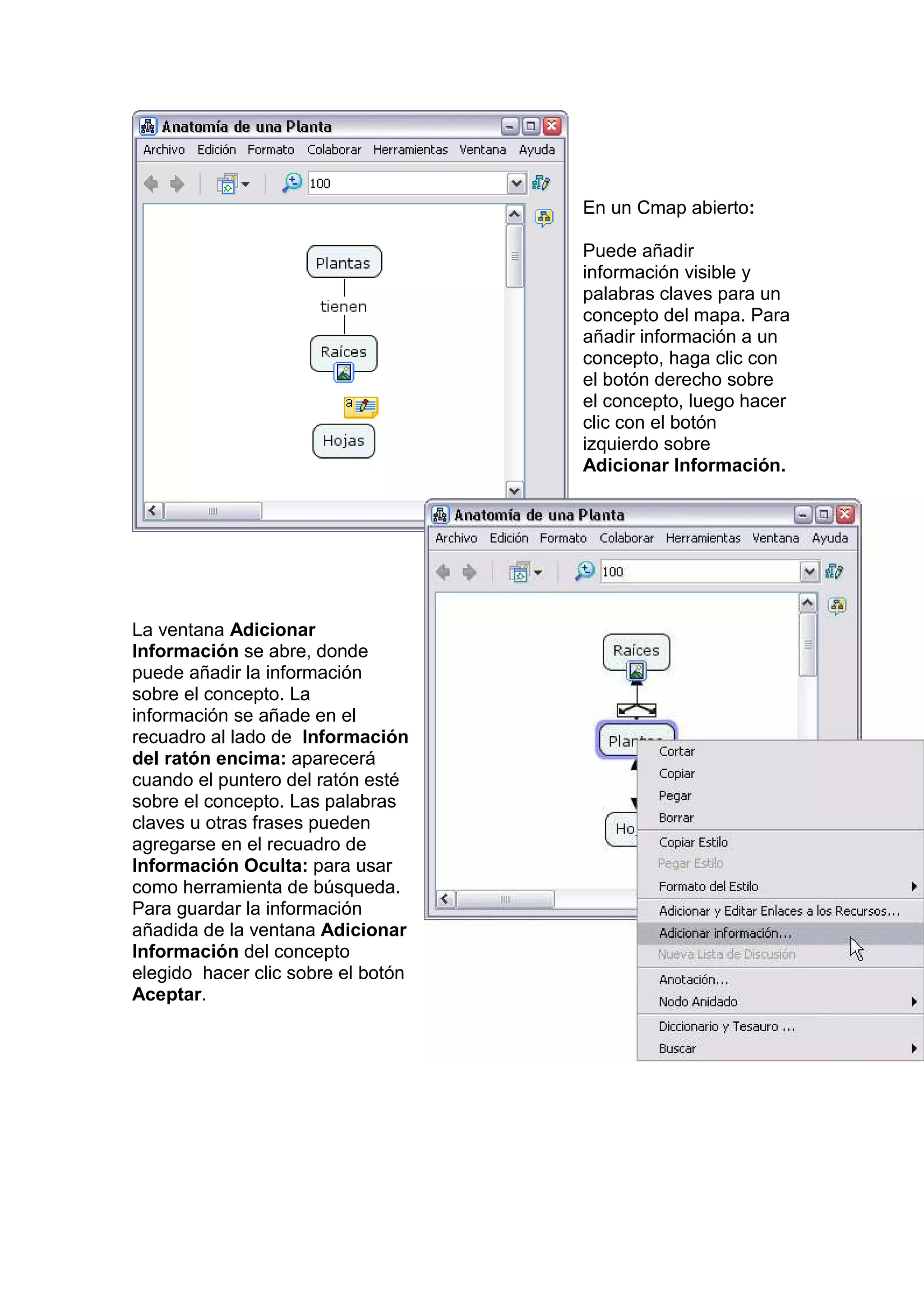En un Cmap abierto:

                                    Puede añadir
                                    información visible y
                                    palabras claves para un
                                    concepto del mapa. Para
                                    añadir información a un
                                    concepto, haga clic con
                                    el botón derecho sobre
                                    el concepto, luego hacer
                                    clic con el botón
                                    izquierdo sobre
                                    Adicionar Información.




La ventana Adicionar
Información se abre, donde
puede añadir la información
sobre el concepto. La
información se añade en el
recuadro al lado de Información
del ratón encima: aparecerá
cuando el puntero del ratón esté
sobre el concepto. Las palabras
claves u otras frases pueden
agregarse en el recuadro de
Información Oculta: para usar
como herramienta de búsqueda.
Para guardar la información
añadida de la ventana Adicionar
Información del concepto
elegido hacer clic sobre el botón
Aceptar.
 