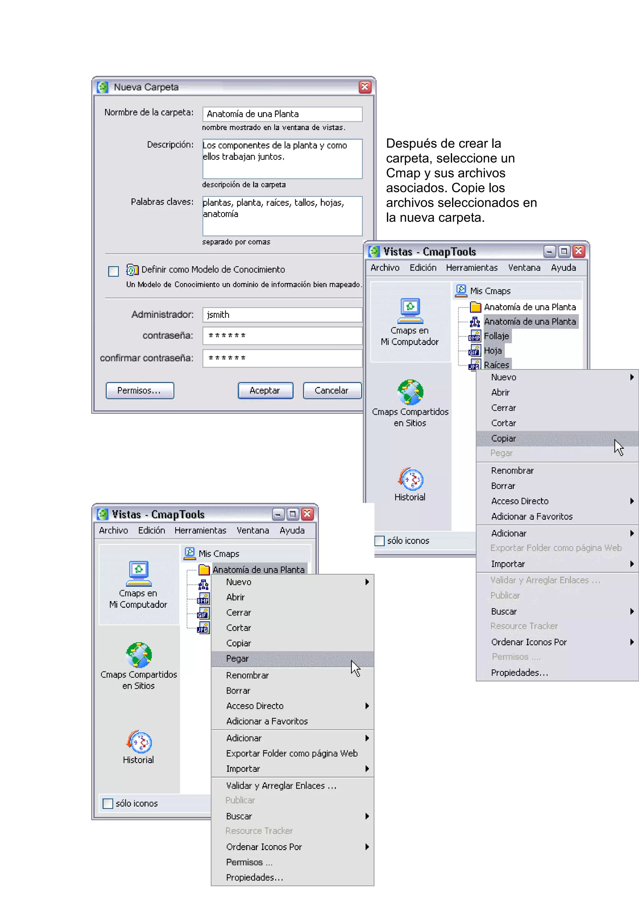 Después de crear la
carpeta, seleccione un
Cmap y sus archivos
asociados. Copie los
archivos seleccionados en
la nueva carpeta.
 