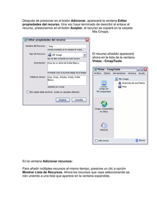 Manual cmap tools español | PDF