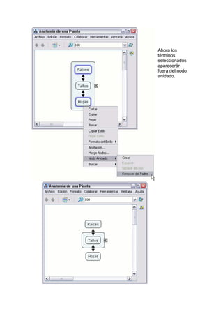 Manual cmap tools español | PDF