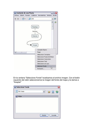 Manual cmap tools español | PDF