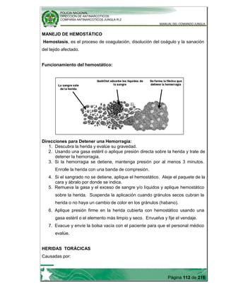 POLICIA NACIONAL
DIRECCION DE ANTINARCOTICOS
COMPAÑÍA ANTINARCOTICOS JUNGLA R-2
MANUAL DEL COMANDO JUNGLA
Página 112 de 216
MANEJO DE HEMOSTÁTICO
Hemostasis, es el proceso de coagulación, disolución del coágulo y la sanación
del tejido afectado.
Funcionamiento del hemostático:
Direcciones para Detener una Hemorragia:
1. Descubra la herida y evalúe su gravedad.
2. Usando una gasa estéril o aplique presión directa sobre la herida y trate de
detener la hemorragia.
3. Si la hemorragia se detiene, mantenga presión por al menos 3 minutos.
Enrolle la herida con una banda de compresión.
4. Si el sangrado no se detiene, aplique el hemostático. Aleje el paquete de la
cara y ábralo por donde se indica.
5. Remueva la gasa y el exceso de sangre y/o líquidos y aplique hemostático
sobre la herida. Suspenda la aplicación cuando gránulos secos cubran la
herida o no haya un cambio de color en los gránulos (habano).
6. Aplique presión firme en la herida cubierta con hemostático usando una
gasa estéril o el elemento más limpio y seco. Envuelva y fije el vendaje.
7. Evacue y envíe la bolsa vacía con el paciente para que el personal médico
evalúe.
HERIDAS TORÁCICAS
Causadas por:
 