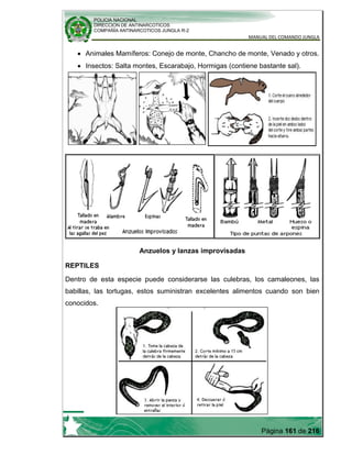 POLICIA NACIONAL
DIRECCION DE ANTINARCOTICOS
COMPAÑÍA ANTINARCOTICOS JUNGLA R-2
MANUAL DEL COMANDO JUNGLA
Página 161 de 216
Animales Mamíferos: Conejo de monte, Chancho de monte, Venado y otros.
Insectos: Salta montes, Escarabajo, Hormigas (contiene bastante sal).
Anzuelos y lanzas improvisadas
REPTILES
Dentro de esta especie puede considerarse las culebras, los camaleones, las
babillas, las tortugas, estos suministran excelentes alimentos cuando son bien
conocidos.
 