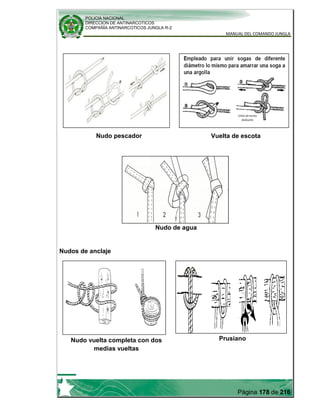 POLICIA NACIONAL
DIRECCION DE ANTINARCOTICOS
COMPAÑÍA ANTINARCOTICOS JUNGLA R-2
MANUAL DEL COMANDO JUNGLA
Página 178 de 216
Nudos de anclaje
Nudo vuelta completa con dos
medias vueltas
Nudo pescador Vuelta de escota
Prusiano
Nudo de agua
 
