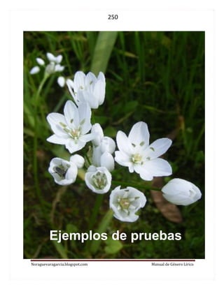 250 
Noraguevaragarcia.blogspot.com Manual de Género Lírico 
Ejemplos de pruebas 
 