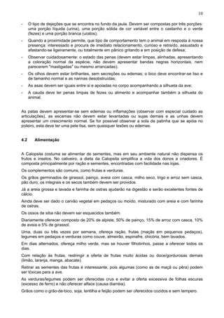 10
-

O tipo de dejeções que se encontra no fundo da jaula. Devem ser compostas por três porções:
uma porção líquida (urina), uma porção sólida de cor variável entre o castanho e o verde
(fezes) e uma porção branca (uratos);

-

Quando a proximidade permite, que tipo de comportamento tem o animal em resposta à nossa
presença: interessado e procura de imediato relacionamento, curioso e retraído, assustado e
afastando-se ligeiramente, ou totalmente em pânico gritando e em posição de defesa;

-

Observar cuidadosamente: o estado das penas (devem estar limpas, alinhadas, apresentando
a coloração normal da espécie, não devem apresentar bandas negras horizontais, nem
parecerem "mastigadas" ou mesmo arrancadas);

-

Os olhos devem estar brilhantes, sem secreções ou edemas; o bico deve encontrar-se liso e
de tamanho normal e as narinas desobstruídas;

-

As asas devem ser iguais entre si e apoiadas no corpo acompanhando a silhueta da ave;

-

A cauda deve ter penas limpas de fezes ou alimento e acompanhar também a silhueta do
animal.

As patas devem apresentar-se sem edemas ou inflamações (observar com especial cuidado as
articulações), as escamas não devem estar levantadas ou sujas demais e as unhas devem
apresentar um crescimento normal. Se for possível observar a sola da patinha que se apóia no
poleiro, esta deve ter uma pele lisa, sem quaisquer lesões ou edemas.
4.2

Alimentação

A Calopsita costuma se alimentar de sementes, mas em seu ambiente natural não dispensa os
frutos e insetos. No cativeiro, a dieta da Calopsita simplifica a vida dos donos e criadores. É
composta principalmente por ração e sementes, encontradas com facilidade nas lojas.
Os complementos são comuns, como frutas e verduras.
Os grãos germinados de girassol, painço, aveia com casca, milho seco, trigo e arroz sem casca,
pão duro, os integrais e os secos também devem ser providos.
Já a areia grossa e lavada e farinha de ostras ajudarão na digestão e serão excelentes fontes de
cálcio.
Ainda deve ser dado o carvão vegetal em pedaços ou moído, misturado com areia e com farinha
de ostras.
Os ossos de siba não devem ser esquecidos também.
Diariamente oferecer composto de 20% de alpiste, 50% de painço, 15% de arroz com casca, 10%
de aveia e 5% de girassol.
Uma, duas ou três vezes por semana, ofereça ração, frutas (maçãs em pequenos pedaços),
legumes em pedaços e verduras como couve, almeirão, espinafre, chicória, bem lavados.
Em dias alternados, ofereça milho verde, mas se houver filhotinhos, passe a oferecer todos os
dias.
Com relação às frutas, restringir a oferta de frutas muito ácidas ou doce/gordurosas demais
(limão, laranja, manga, abacate).
Retirar as sementes das frutas é interessante, pois algumas (como as de maçã ou pêra) podem
ser tóxicas para a ave.
As verduras/legumes podem ser oferecidas crus e evitar a oferta excessiva de folhas escuras
(excesso de ferro) e não oferecer alface (causa diarréia).
Grãos como o grão-de-bico, soja, lentilha e feijão podem ser oferecidos cozidos e sem tempero.

 