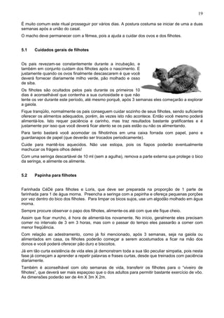 19
É muito comum este ritual prosseguir por vários dias. A postura costuma se iniciar de uma a duas
semanas após a união do casal.
O macho deve permanecer com a fêmea, pois a ajuda a cuidar dos ovos e dos filhotes.
5.1

Cuidados gerais de filhotes

Os pais revezam-se constantemente durante a incubação, e
também em conjunto cuidam dos filhotes após o nascimento. E
justamente quando os ovos finalmente descascarem é que você
deverá fornecer diariamente milho verde, pão molhado e osso
de siba.
Os filhotes são ocultados pelos pais durante os primeiros 10
dias é aconselhável que contenha a sua curiosidade e que não
tente os ver durante este período, até mesmo porquê, após 3 semanas eles começarão a explorar
a gaiola.
Fique tranqüilo, normalmente os pais conseguem cuidar sozinho de seus filhotes, sendo suficiente
oferecer os alimentos adequados, porém, às vezes isto não acontece. Então você mesmo poderá
alimentá-los. Isto requer paciência e carinho, mas traz resultados bastante gratificantes e é
justamente por isso que você deverá ficar atento se os pais estão ou não os alimentando.
Para tanto bastará você acomodar os filhotinhos em uma caixa forrada com papel, pano e
guardanapos de papel (que deverão ser trocados periodicamente).
Cuide para mantê-los aquecidos. Não use estopa, pois os fiapos poderão eventualmente
machucar os frágeis olhos deles!
Com uma seringa descartável de 10 ml (sem a agulha), remova a parte externa que protege o bico
da seringa, e alimente os alimente.
5.2

Papinha para filhotes

Farinhada CéDé para filhotes e Loris, que deve ser preparada na proporção de 1 parte de
farinhada para 1 de água morna. Preencha a seringa com a papinha e ofereça pequenas porções
por vez dentro do bico dos filhotes. Para limpar os bicos sujos, use um algodão molhado em água
morna.
Sempre procure observar o papo dos filhotes, alimente-os até com que ele fique cheio.
Assim que ficar murcho, é hora de alimentá-los novamente. No início, geralmente eles precisam
comer no intervalo de 3 em 3 horas, mas com o passar do tempo eles passarão a comer com
menor freqüência.
Com relação ao adestramento, como já foi mencionado, após 3 semanas, seja na gaiola ou
alimentados em casa, os filhotes poderão começar a serem acostumados a ficar na mão dos
donos e você poderá oferecer pão duro e biscoitos.
Já em tão curta existência de vida eles já demonstram toda a sua tão peculiar simpatia, pois nesta
fase já começam a aprender a repetir palavras e frases curtas, desde que treinados com paciência
diariamente.
Também é aconselhável com oito semanas de vida, transferir os filhotes para o “viveiro de
filhotes”, que deverá ser mais espaçoso que o dos adultos para permitir bastante exercício de vôo.
As dimensões poderão ser de 4m X 3m X 2m.

 
