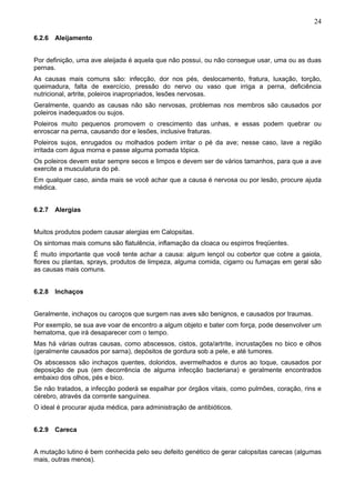 24
6.2.6 Aleijamento
Por definição, uma ave aleijada é aquela que não possui, ou não consegue usar, uma ou as duas
pernas.
As causas mais comuns são: infecção, dor nos pés, deslocamento, fratura, luxação, torção,
queimadura, falta de exercício, pressão do nervo ou vaso que irriga a perna, deficiência
nutricional, artrite, poleiros inapropriados, lesões nervosas.
Geralmente, quando as causas não são nervosas, problemas nos membros são causados por
poleiros inadequados ou sujos.
Poleiros muito pequenos promovem o crescimento das unhas, e essas podem quebrar ou
enroscar na perna, causando dor e lesões, inclusive fraturas.
Poleiros sujos, enrugados ou molhados podem irritar o pé da ave; nesse caso, lave a região
irritada com água morna e passe alguma pomada tópica.
Os poleiros devem estar sempre secos e limpos e devem ser de vários tamanhos, para que a ave
exercite a musculatura do pé.
Em qualquer caso, ainda mais se você achar que a causa é nervosa ou por lesão, procure ajuda
médica.
6.2.7 Alergias
Muitos produtos podem causar alergias em Calopsitas.
Os sintomas mais comuns são flatulência, inflamação da cloaca ou espirros freqüentes.
É muito importante que você tente achar a causa: algum lençol ou cobertor que cobre a gaiola,
flores ou plantas, sprays, produtos de limpeza, alguma comida, cigarro ou fumaças em geral são
as causas mais comuns.
6.2.8 Inchaços
Geralmente, inchaços ou caroços que surgem nas aves são benignos, e causados por traumas.
Por exemplo, se sua ave voar de encontro a algum objeto e bater com força, pode desenvolver um
hematoma, que irá desaparecer com o tempo.
Mas há várias outras causas, como abscessos, cistos, gota/artrite, incrustações no bico e olhos
(geralmente causados por sarna), depósitos de gordura sob a pele, e até tumores.
Os abscessos são inchaços quentes, doloridos, avermelhados e duros ao toque, causados por
deposição de pus (em decorrência de alguma infecção bacteriana) e geralmente encontrados
embaixo dos olhos, pés e bico.
Se não tratados, a infecção poderá se espalhar por órgãos vitais, como pulmões, coração, rins e
cérebro, através da corrente sanguínea.
O ideal é procurar ajuda médica, para administração de antibióticos.
6.2.9 Careca
A mutação lutino é bem conhecida pelo seu defeito genético de gerar calopsitas carecas (algumas
mais, outras menos).

 