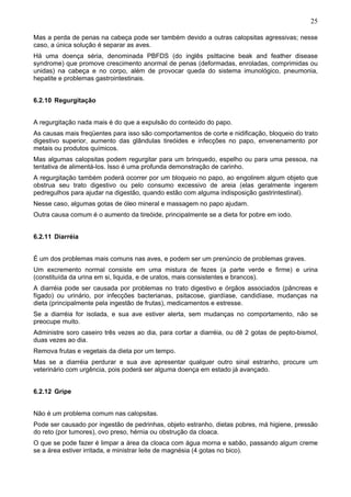 25
Mas a perda de penas na cabeça pode ser também devido a outras calopsitas agressivas; nesse
caso, a única solução é separar as aves.
Há uma doença séria, denominada PBFDS (do inglês psittacine beak and feather disease
syndrome) que promove crescimento anormal de penas (deformadas, enroladas, comprimidas ou
unidas) na cabeça e no corpo, além de provocar queda do sistema imunológico, pneumonia,
hepatite e problemas gastrointestinais.
6.2.10 Regurgitação
A regurgitação nada mais é do que a expulsão do conteúdo do papo.
As causas mais freqüentes para isso são comportamentos de corte e nidificação, bloqueio do trato
digestivo superior, aumento das glândulas tireóides e infecções no papo, envenenamento por
metais ou produtos químicos.
Mas algumas calopsitas podem regurgitar para um brinquedo, espelho ou para uma pessoa, na
tentativa de alimentá-los. Isso é uma profunda demonstração de carinho.
A regurgitação também poderá ocorrer por um bloqueio no papo, ao engolirem algum objeto que
obstrua seu trato digestivo ou pelo consumo excessivo de areia (elas geralmente ingerem
pedregulhos para ajudar na digestão, quando estão com alguma indisposição gastrintestinal).
Nesse caso, algumas gotas de óleo mineral e massagem no papo ajudam.
Outra causa comum é o aumento da tireóide, principalmente se a dieta for pobre em iodo.
6.2.11 Diarréia
É um dos problemas mais comuns nas aves, e podem ser um prenúncio de problemas graves.
Um excremento normal consiste em uma mistura de fezes (a parte verde e firme) e urina
(constituída da urina em si, liquida, e de uratos, mais consistentes e brancos).
A diarréia pode ser causada por problemas no trato digestivo e órgãos associados (pâncreas e
fígado) ou urinário, por infecções bacterianas, psitacose, giardíase, candidíase, mudanças na
dieta (principalmente pela ingestão de frutas), medicamentos e estresse.
Se a diarréia for isolada, e sua ave estiver alerta, sem mudanças no comportamento, não se
preocupe muito.
Administre soro caseiro três vezes ao dia, para cortar a diarréia, ou dê 2 gotas de pepto-bismol,
duas vezes ao dia.
Remova frutas e vegetais da dieta por um tempo.
Mas se a diarréia perdurar e sua ave apresentar qualquer outro sinal estranho, procure um
veterinário com urgência, pois poderá ser alguma doença em estado já avançado.
6.2.12 Gripe
Não é um problema comum nas calopsitas.
Pode ser causado por ingestão de pedrinhas, objeto estranho, dietas pobres, má higiene, pressão
do reto (por tumores), ovo preso, hérnia ou obstrução da cloaca.
O que se pode fazer é limpar a área da cloaca com água morna e sabão, passando algum creme
se a área estiver irritada, e ministrar leite de magnésia (4 gotas no bico).

 