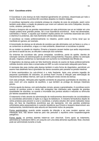 34
6.4.4 Coccidiose aviária
A Coccidiose é uma doença do trato intestinal (geralmente em pombos), disseminada por todo o
mundo. Quase todos os pombos têm coccídeos alojados no intestino delgado.
A coccidiose representa uma constante ameaça às criações de aves de produção, assim como
também pode afetar a criação de pássaros que vivem em cativeiro tais como Calopsitas, bicudos,
curiós, canários, periquitos, etc.
Eimeria e Isospora são as grandes responsáveis por esta protozoose que ao se instalar em uma
criação poderá levar grandes perdas, daí a sua importância econômica. Aves mal alimentadas,
submetidas a "stress", e aquelas que recebem rações pobres em nutrientes essenciais tais como
a vitamina A e proteínas, são mais facilmente vítimas desta doença.
A coccidiose se instala preferencialmente no intestino, porém existe a forma renal que se
manifesta em gansos, por exemplo.
A transmissão da doença se dá através de oocistos que são eliminados com as fezes e a urina, e
ao contaminar os alimentos, a água, e o meio ambiente, disseminam a coccidiose no plantel.
Ao se instalar na parede do intestino, Eimeria e Isospora causam lesões que serão responsáveis
por danos à saúde da ave, ao dificultar a absorção dos nutrientes.
Os sintomas da coccidiose são: penas arrepiadas, sonolência, perda do apetite, diarréia de
coloração variando do esbranquiçado ao vermelho (sanguinolenta), fraqueza, palidez na coloração
da pele, magreza, problemas na reprodução com aumento na mortalidade dos filhotes etc.
O diagnóstico da doença pode ser feito facilmente através do exame de fezes preferencialmente
colhidas durante vários dias e conservadas em MIF ou outro conservador adequado para fezes.
A necropsia das aves mortas pela doença também é outra forma de diagnóstico, permitindo um
exame mais detalhado face á gravidade dos danos causados pelo parasita na parede intestinal.
A forma assintomática (ou sub-clínica) é a mais freqüente. Após uma primeira ingestão de
pequenas quantidades de oóscistos, os pombos ficam imunes à infecção pela estimulação de
mecanismos de defesa internos, sem que se verifiquem sinais visíveis da doença.
Com esta proteção, reforçada pela ingestão constante de pequenas quantidades de oóscistos, as
aves vivem em uma espécie de equilíbrio, o que também as protege de doenças intestinais
graves.
A forma aguda da doença, com perturbações visíveis, graves e generalizadas. A coccidiose ocorre
quando os pombos jovens e ainda não protegidos são infectados pela ingestão de grandes
quantidades de oóscistos, ou quando a imunidade dos pombos adultos é reduzida ou diminuída
por fatores causadores de stress.
O tratamento é feito através da administração de medicamentos denominados de coccidiostáticos
ou coccidicidas adicionados à ração ou à água do bebedouro. A indústria farmacêutica dispõe de
vários produtos para prevenir e curar a coccidiose, e amplos estudos vêm sendo realizados nessa
área, em face da importância econômica que ela representa. Um dos grandes problemas
enfrentados pelos pesquisadores é a grande resistência que Eimeria e Isospora desenvolvem aos
medicamentos, transformando este assunto em fascinante motivo de pesquisa.
Forma assintomática: quando existe suspeita de infecção e as aves revelam apenas uma
infestação leve, não devem tratar-se para não perturbar o equilíbrio entre hospedeiro/agente
patogénico.
Forma aguda: os pombos doentes tratam-se com chevi-kok. Como apoio ao tratamento,
administra-se multivitamin EB12, em conjunto com uma dieta alimentar equilibrada. Nota: chevikok
pode ser administrado durante a muda.

 