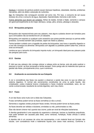 41
Gordura: o excesso de gordura poderá causar doenças hepáticas, obesidade, diarréia, problemas
nas penas, além de afetar a absorção de nutrientes.
Sal: As Calopsitas não conseguem excretar sal como nós. Por isso, o consumo de sal causa
excesso de urina e consumo de água, depressão, hiperatividade, tremores e até morte.
Outros alimentos que devem ser evitados: folhas de batata, tomate e feijão, semente e caroços
em geral (principalmente os de maçã, damasco, cereja, pêra, ameixa, pêssego e abacate).
6.5.2 Brinquedos perigosos
Brinquedos são imprescindíveis para seu pássaro, mas alguns cuidados devem ser tomados para
que a brincadeira não se transforme em um desastre.
Brinquedos com espirais ou qualquer outro acessório que possa prender pescoço ou pernas estão
proibidos. Correntes também são proibidas, sejam de metal ou plástico.
Tenha também cuidado com a ingestão de partes de brinquedos: isso trava o aparelho digestivo e
a ave não consegue se alimentar. Brinquedos com algodão ou poliéster podem soltar fios, onde as
aves se enroscam.
Lembre-se que o tamanho do brinquedo importa muito; um brinquedo ideal para seu pássaro pode
ser perigoso para outro.
6.5.3 Gaiolas
É vital que seu pássaro não consiga colocar a cabeça entre as barras, pois ele pode quebrar o
pescoço e morrer, se ficar enroscado e tentar escapar. Outro perigo são os materiais dos quais as
gaiolas são feitas, principalmente zinco, que é venenoso.
6.6

Analisando os excrementos de sua Calopsita

A cor e consistência das fezes nos ajudam a observar a saúde das aves no que se refere ao
sistema digestivo. O normal são excrementos constituídos de urina (a parte líquida, não
cristalizada), uratos (material branco cristalizado) e fezes (material consolidado, seco, de cor
verde a amarronzada, resultante da comida digerida), sem mau cheiro.
6.6.1 Fezes
A cor das fezes varia muito com a dieta das Calopsitas.
Frutas vermelhas podem tornar as fezes vermelhas (e não a urina!).
Sementes e vegetais verdes produzem fezes verdes. Amoras podem tornar as fezes pretas.
As fezes deverão ser sólidas e tubulares, enroladas ou não, particionadas ou não.
Elas não devem cheirar mal; quando isso ocorre, pode ser sinal de infecções bacterianas.
A diarréia geralmente é uma resposta do organismo a doenças, toxinas ou bactérias prejudiciais,
mas pode também ser causada pela dieta, como verduras, hortaliças, frutas cítricas e certos
alimentos.
A diarréia não é um excesso de urina nos excrementos, e sim material fecal em formato não
tubular, com consistência mole a totalmente líquida (nos casos mais severos). Conforme a

 