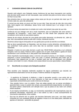 9
4

CUIDADOS GERAIS COM AS CALOPSITAS

Quando você adquirir uma Calopsita mansa, lembre-se de que deve manuseá-la com carinho,
pois ela deve sentir prazer em ser manuseada, caso contrário ela pode se tornar arisca e relutar
em ficar na sua mão.
Nos primeiros dias na nova casa, pegue várias vezes por dia por um período não maior que 15
minutos cada vez, para não estressá-la.
É normal que ela relute um pouco em ficar na sua mão. Caso ela pule da mão não corra atrás
dela, tente pegá-la com delicadeza, dessa forma você mostrará que é um amigo e não um
agressor.
Em pouco tempo ela estará bem à vontade com você e não tentará mais pular da sua mão.
Lembre-se de que interagir com ela é muito importante, pois as Calopsitas são aves sociais e
necessitam de companhia - como foram criadas na mão desde bem pequenas elas nos
consideram como sendo da sua própria espécie.
Apesar de ser mansa, ela deve ter uma gaiola para poder descansar, se alimentar etc., além do
que, não é aconselhável deixá-la solta todo o tempo, sobretudo sozinha.
Devemos colocar alguns brinquedos em sua gaiola para que ela se exercite e se distraia.
Não se deve superalimentar as Calopsitas, nem dar doces e outros alimentos, principalmente os
que contenham muita gordura, pois como elas não se exercitam voando, têm tendência a
obesidade.
Respeite o horário do sono (eles dormem a partir das 18h30/19h00) colocando-a num ambiente
tranqüilo e sem luz acesa. Pode-se cobrir a gaiola com um pano. Evite deixar a gaiola em locais
barulhentos e com correntes de ar, elas podem ficar estressadas e doentes.
Outra importante recomendação sobre o convívio com seres humanos, é em relação a crianças
pequenas e pouco acostumadas a lidar com aves. É preciso orientá-las para evitar que as
machuquem caso peguem-nas na mão, e também para que não as estressem com atitudes
bruscas, como bater no viveiro. Atitudes como essas deixam as aves apavoradas e desconfiadas.
4.1

Escolhendo na compra uma Calopsita saudável

Para escolher uma Calopsita realmente saudável há alguns parâmetros que deverão ser
rigorosamente observados na hora da compra. Podemos destacar os seguintes:
-

A aparência da Calopsita à distância; o ideal é aproveitar quando a ave ainda não se
apercebeu da presença de um novo elemento no meio que a rodeia (as aves têm uma
capacidade extraordinária para ocultar sintomas de doença);

-

Que posição toma a ave no poleiro: Caso ela esteja parada com as penas enrrufadas e
apoiando todo o corpo no poleiro não compre, pois possivelmente esteja doente, no entanto se
ela estiver alerta e observando com atenção tudo o que se passa ao seu redor com certeza
estará saudável.

-

A ave respira normalmente, ou seja, os movimentos respiratórios são imperceptíveis caso ela
apresente dificuldades, respirando com o bico aberto ou todo o corpo acompanhando os
movimentos respiratórios, tome cuidado.

-

Que tipo de alimento tem na gaiola: são biscoitos fabricados para aves, uma dieta caseira
composta por uma variedade grande de vegetais e frutos ou é uma dieta pobre, deficitária de
apenas um elemento - sementes de girassol;

 
