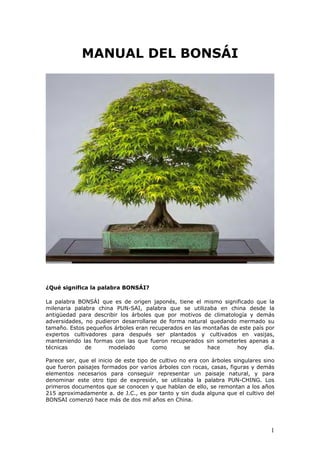 Manual completo del bonsai (de principio a fin) (1) | PDF