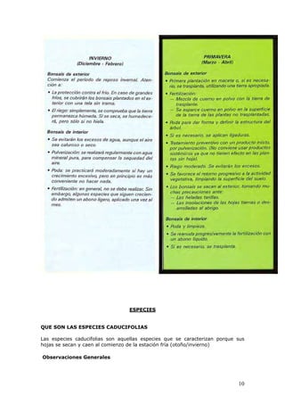 ESPECIES
QUE SON LAS ESPECIES CADUCIFOLIAS
Las especies caducifolias son aquellas especies que se caracterizan porque sus
hojas se secan y caen al comienzo de la estación fría (otoño/invierno)
Observaciones Generales
10
 