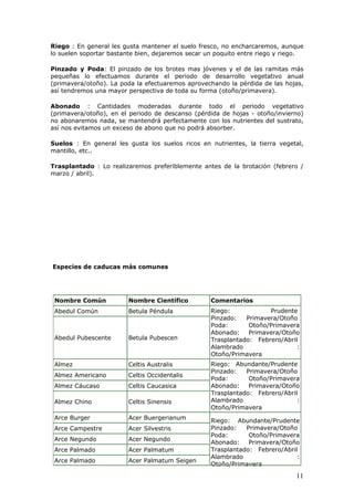 Riego : En general les gusta mantener el suelo fresco, no encharcaremos, aunque
lo suelen soportar bastante bien, dejaremos secar un poquito entre riego y riego.
Pinzado y Poda: El pinzado de los brotes mas jóvenes y el de las ramitas más
pequeñas lo efectuamos durante el periodo de desarrollo vegetativo anual
(primavera/otoño). La poda la efectuaremos aprovechando la pérdida de las hojas,
así tendremos una mayor perspectiva de toda su forma (otoño/primavera).
Abonado : Cantidades moderadas durante todo el periodo vegetativo
(primavera/otoño), en el periodo de descanso (pérdida de hojas - otoño/invierno)
no abonaremos nada, se mantendrá perfectamente con los nutrientes del sustrato,
así nos evitamos un exceso de abono que no podrá absorber.
Suelos : En general les gusta los suelos ricos en nutrientes, la tierra vegetal,
mantillo, etc..
Trasplantado : Lo realizaremos preferiblemente antes de la brotación (febrero /
marzo / abril).
Especies de caducas más comunes
Nombre Común Nombre Científico Comentarios
Abedul Común Betula Péndula
Abedul Pubescente Betula Pubescen
Riego: Prudente
Pinzado: Primavera/Otoño
Poda: Otoño/Primavera
Abonado: Primavera/Otoño
Trasplantado: Febrero/Abril
Alambrado :
Otoño/Primavera
Almez Celtis Australis
Almez Americano Celtis Occidentalis
Almez Cáucaso Celtis Caucasica
Almez Chino Celtis Sinensis
Riego: Abundante/Prudente
Pinzado: Primavera/Otoño
Poda: Otoño/Primavera
Abonado: Primavera/Otoño
Trasplantado: Febrero/Abril
Alambrado :
Otoño/Primavera
Arce Burger Acer Buergerianum
Arce Campestre Acer Silvestris
Arce Negundo Acer Negundo
Arce Palmado Acer Palmatum
Arce Palmado Acer Palmatum Seigen
Riego: Abundante/Prudente
Pinzado: Primavera/Otoño
Poda: Otoño/Primavera
Abonado: Primavera/Otoño
Trasplantado: Febrero/Abril
Alambrado :
Otoño/Primavera
11
 
