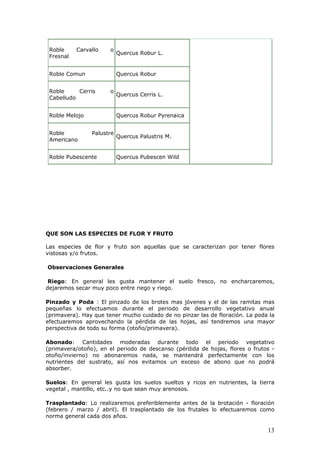 Roble Carvallo o
Fresnal
Quercus Robur L.
Roble Comun Quercus Robur
Roble Cerris o
Cabelludo
Quercus Cerris L.
Roble Melojo Quercus Robur Pyrenaica
Roble Palustre
Americano
Quercus Palustris M.
Roble Pubescente Quercus Pubescen Wild
QUE SON LAS ESPECIES DE FLOR Y FRUTO
Las especies de flor y fruto son aquellas que se caracterizan por tener flores
vistosas y/o frutos.
Observaciones Generales
Riego: En general les gusta mantener el suelo fresco, no encharcaremos,
dejaremos secar muy poco entre riego y riego.
Pinzado y Poda : El pinzado de los brotes mas jóvenes y el de las ramitas mas
pequeñas lo efectuamos durante el periodo de desarrollo vegetativo anual
(primavera). Hay que tener mucho cuidado de no pinzar las de floración. La poda la
efectuaremos aprovechando la pérdida de las hojas, así tendremos una mayor
perspectiva de todo su forma (otoño/primavera).
Abonado: Cantidades moderadas durante todo el periodo vegetativo
(primavera/otoño), en el periodo de descanso (pérdida de hojas, flores o frutos -
otoño/invierno) no abonaremos nada, se mantendrá perfectamente con los
nutrientes del sustrato, así nos evitamos un exceso de abono que no podrá
absorber.
Suelos: En general les gusta los suelos sueltos y ricos en nutrientes, la tierra
vegetal , mantillo, etc..y no que sean muy arenosos.
Trasplantado: Lo realizaremos preferiblemente antes de la brotación - floración
(febrero / marzo / abril). El trasplantado de los frutales lo efectuaremos como
norma general cada dos años.
13
 