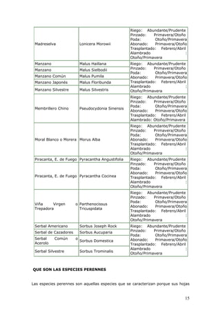 Madreselva Lonicera Morowii
Riego: Abundante/Prudente
Pinzado: Primavera/Otoño
Poda: Otoño/Primavera
Abonado: Primavera/Otoño
Trasplantado: Febrero/Abril
Alambrado :
Otoño/Primavera
Manzano Malus Haillana
Manzano Malus Sielbodii
Manzano Común Malus Pumila
Manzano Japonés Malus Floribunda
Manzano Silvestre Malus Silvestris
Riego: Abundante/Prudente
Pinzado: Primavera/Otoño
Poda: Otoño/Primavera
Abonado: Primavera/Otoño
Trasplantado: Febrero/Abril
Alambrado :
Otoño/Primavera
Membrillero Chino Pseudocydonia Sinensis
Riego: Abundante/Prudente
Pinzado: Primavera/Otoño
Poda: Otoño/Primavera
Abonado: Primavera/Otoño
Trasplantado: Febrero/Abril
Alambrado: Otoño/Primavera
Moral Blanco o Morera Morus Alba
Riego: Abundante/Prudente
Pinzado: Primavera/Otoño
Poda: Otoño/Primavera
Abonado: Primavera/Otoño
Trasplantado: Febrero/Abril
Alambrado :
Otoño/Primavera
Piracanta, E. de Fuego Pyracantha Angustifolia
Piracanta, E. de Fuego Pyracantha Cocinea
Riego: Abundante/Prudente
Pinzado: Primavera/Otoño
Poda: Otoño/Primavera
Abonado: Primavera/Otoño
Trasplantado: Febrero/Abril
Alambrado :
Otoño/Primavera
Viña Virgen o
Trepadora
Parthenocissus
Tricuspidata
Riego: Abundante/Prudente
Pinzado: Primavera/Otoño
Poda: Otoño/Primavera
Abonado: Primavera/Otoño
Trasplantado: Febrero/Abril
Alambrado :
Otoño/Primavera
Serbal Americano Sorbus Joseph Rock
Serbal de Cazadores Sorbus Aucuparia
Serbal Común o
Acerolo
Sorbus Domestica
Serbal Silvestre Sorbus Trominalis
Riego: Abundante/Prudente
Pinzado: Primavera/Otoño
Poda: Otoño/Primavera
Abonado: Primavera/Otoño
Trasplantado: Febrero/Abril
Alambrado :
Otoño/Primavera
QUE SON LAS ESPECIES PERENNES
Las especies perennes son aquellas especies que se caracterizan porque sus hojas
15
 