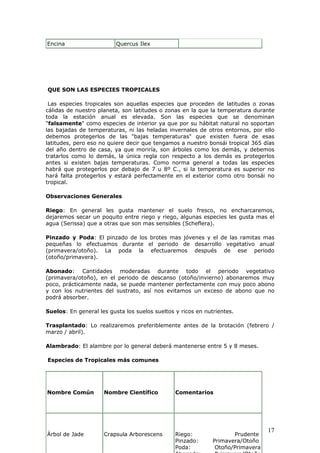 Encina Quercus Ilex
QUE SON LAS ESPECIES TROPICALES
Las especies tropicales son aquellas especies que proceden de latitudes o zonas
cálidas de nuestro planeta, son latitudes o zonas en la que la temperatura durante
toda la estación anual es elevada. Son las especies que se denominan
"falsamente" como especies de interior ya que por su hábitat natural no soportan
las bajadas de temperaturas, ni las heladas invernales de otros entornos, por ello
debemos protegerlos de las "bajas temperaturas" que existen fuera de esas
latitudes, pero eso no quiere decir que tengamos a nuestro bonsái tropical 365 días
del año dentro de casa, ya que moriría, son árboles como los demás, y debemos
tratarlos como lo demás, la única regla con respecto a los demás es protegerlos
antes si existen bajas temperaturas. Como norma general a todas las especies
habrá que protegerlos por debajo de 7 u 8º C., si la temperatura es superior no
hará falta protegerlos y estará perfectamente en el exterior como otro bonsái no
tropical.
Observaciones Generales
Riego: En general les gusta mantener el suelo fresco, no encharcaremos,
dejaremos secar un poquito entre riego y riego, algunas especies les gusta mas el
agua (Serissa) que a otras que son mas sensibles (Scheflera).
Pinzado y Poda: El pinzado de los brotes mas jóvenes y el de las ramitas mas
pequeñas lo efectuamos durante el periodo de desarrollo vegetativo anual
(primavera/otoño). La poda la efectuaremos después de ese periodo
(otoño/primavera).
Abonado: Cantidades moderadas durante todo el periodo vegetativo
(primavera/otoño), en el periodo de descanso (otoño/invierno) abonaremos muy
poco, prácticamente nada, se puede mantener perfectamente con muy poco abono
y con los nutrientes del sustrato, así nos evitamos un exceso de abono que no
podrá absorber.
Suelos: En general les gusta los suelos sueltos y ricos en nutrientes.
Trasplantado: Lo realizaremos preferiblemente antes de la brotación (febrero /
marzo / abril).
Alambrado: El alambre por lo general deberá mantenerse entre 5 y 8 meses.
Especies de Tropicales más comunes
17
Nombre Común Nombre Científico Comentarios
Árbol de Jade Crapsula Arborescens Riego: Prudente
Pinzado: Primavera/Otoño
Poda: Otoño/Primavera
 
