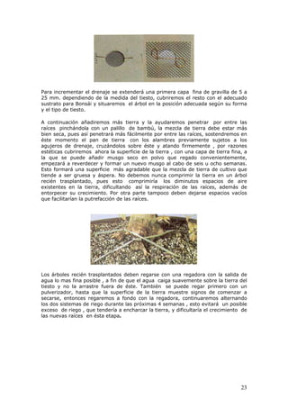 Para incrementar el drenaje se extenderá una primera capa fina de gravilla de 5 a
25 mm. dependiendo de la medida del tiesto, cubriremos el resto con el adecuado
sustrato para Bonsái y situaremos el árbol en la posición adecuada según su forma
y el tipo de tiesto.
A continuación añadiremos más tierra y la ayudaremos penetrar por entre las
raíces pinchándola con un palillo de bambú, la mezcla de tierra debe estar más
bien seca, pues así penetrará más fácilmente por entre las raíces, sostendremos en
éste momento el pan de tierra con los alambres previamente sujetos a los
agujeros de drenaje, cruzándolos sobre éste y atando firmemente , por razones
estéticas cubriremos ahora la superficie de la tierra , con una capa de tierra fina, a
la que se puede añadir musgo seco en polvo que regado convenientemente,
empezará a reverdecer y formar un nuevo musgo al cabo de seis u ocho semanas.
Esto formará una superficie más agradable que la mezcla de tierra de cultivo que
tiende a ser gruesa y áspera. No debemos nunca comprimir la tierra en un árbol
recién trasplantado, pues esto comprimiría los diminutos espacios de aire
existentes en la tierra, dificultando así la respiración de las raíces, además de
entorpecer su crecimiento. Por otra parte tampoco deben dejarse espacios vacíos
que facilitarían la putrefacción de las raíces.
Los árboles recién trasplantados deben regarse con una regadora con la salida de
agua lo mas fina posible , a fin de que el agua caiga suavemente sobre la tierra del
tiesto y no la arrastre fuera de éste. También se puede regar primero con un
pulverizador, hasta que la superficie de la tierra muestre signos de comenzar a
secarse, entonces regaremos a fondo con la regadora, continuaremos alternando
los dos sistemas de riego durante las próximas 4 semanas , esto evitará un posible
exceso de riego , que tendería a encharcar la tierra, y dificultaría el crecimiento de
las nuevas raíces en ésta etapa.
23
 