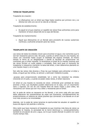 TIPOS DE TRASPLANTES
Trasplante de creación:
• Lo efectuamos con un árbol que llega hasta nosotros por primera vez y se
efectúa tan sólo una vez en la vida de un Bonsái.
Trasplante de establecimiento:
• Es aquel en el que creamos un cepellón de raíces finas suficientes como para
mantener el futuro desarrollo de la copa del Bonsái.
Trasplante de mantenimiento:
• Aquel que efectuamos en un Bonsái para proveerle de nuevas sustancias
nutritivas y suficiente aireación para las raíces.
TRASPLANTE DE CREACIÓN
Las raíces de todos los árboles crecen para encontrar el agua y los nutrientes que le
son tan necesarios para la vida. Así pues, cuando un árbol crece en una maceta, las
raíces van creciendo hasta ocupar la totalidad del espacio limitado. Al mismo
tiempo la tierra se va desgastando y pierde la facultad de proporcionar los
nutrientes que el árbol necesita. Si levantamos el árbol de la maceta veremos que
las raíces forman un ovillo espeso y enredado. Este será pues el momento de
trasplantar si deseamos mantener la salud del árbol, o bien deberemos plantarlo en
una maceta mayor o en el suelo.
Son sólo las raíces más jóvenes y finas las que trabajan para alimentar al árbol y
éstas, al igual que las ramas, se activan y estimulan mediante la poda.
gruesas para proporcionarle estabilidad, tal y como las necesitan los árboles
creciendo en el suelo, y cuando se podan estas raíces, el árbol reacciona
Un árbol en una maceta no necesita de raíces emitiendo gran cantidad de raíces
jóvenes y finas. Los resultados pueden observarse en la copa, con un crecimiento
sano y vigoroso. En vez de una maceta llena de raíces viejas y poco útiles, las
renovamos con raíces que son muy útiles y necesarias para el árbol.
Así, la poda de raíces es necesaria en los Bonsái, y tal como cada año que pasa
éstos adquieren las características de vejez que buscamos, simultáneamente les
proporcionamos un sistema de raíces jóvenes que convierten a los Bonsái en el ser
vivo más cercano a la inmortalidad.
Además, con la poda de raíces tenemos la oportunidad de estudiar el cepellón en
busca de alguna raíz podrida o enferma.
Otra razón que hace necesario el trasplante es que mientras más llena de raíces va
quedando la maceta, la porosidad de la tierra disminuye y, consecuentemente,
también la circulación de aire y agua, con lo que nuestro Bonsái no podrá vivir sano
mucho tiempo más.
26
 