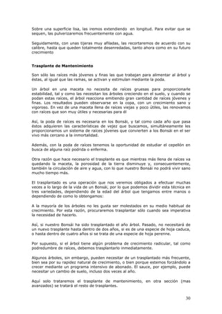 Sobre una superficie lisa, las iremos extendiendo en longitud. Para evitar que se
sequen, las pulverizaremos frecuentemente con agua.
Seguidamente, con unas tijeras muy afiladas, las recortaremos de acuerdo con su
calibre, hasta que queden totalmente desenredadas, tanto ahora como en su futuro
crecimiento
Trasplante de Mantenimiento
Son sólo las raíces más jóvenes y finas las que trabajan para alimentar al árbol y
éstas, al igual que las ramas, se activan y estimulan mediante la poda.
Un árbol en una maceta no necesita de raíces gruesas para proporcionarle
estabilidad, tal y como las necesitan los árboles creciendo en el suelo, y cuando se
podan estas raíces, el árbol reacciona emitiendo gran cantidad de raíces jóvenes y
finas. Los resultados pueden observarse en la copa, con un crecimiento sano y
vigoroso. En vez de una maceta llena de raíces viejas y poco útiles, las renovamos
con raíces que son muy útiles y necesarias para él
Así, la poda de raíces es necesaria en los Bonsái, y tal como cada año que pasa
éstos adquieren las características de vejez que buscamos, simultáneamente les
proporcionamos un sistema de raíces jóvenes que convierten a los Bonsái en el ser
vivo más cercano a la inmortalidad.
Además, con la poda de raíces tenemos la oportunidad de estudiar el cepellón en
busca de alguna raíz podrida o enferma.
Otra razón que hace necesario el trasplante es que mientras más llena de raíces va
quedando la maceta, la porosidad de la tierra disminuye y, consecuentemente,
también la circulación de aire y agua, con lo que nuestro Bonsái no podrá vivir sano
mucho tiempo más.
El trasplantado es una operación que nos veremos obligados a efectuar muchas
veces a lo largo de la vida de un Bonsái, por lo que podemos dividir esta técnica en
tres variedades, dependiendo de la edad del árbol que tengamos entre manos o
dependiendo de como lo obtengamos:
A la mayoría de los árboles no les gusta ser molestados en su medio habitual de
crecimiento. Por esta razón, procuraremos trasplantar sólo cuando sea imperativa
la necesidad de hacerlo.
Así, si nuestro Bonsái ha sido trasplantado el año árbol. Pasado, no necesitará de
un nuevo trasplante hasta dentro de dos años, si es de una especie de hoja caduca,
o hasta dentro de cuatro años si se trata de una especie de hoja perenne.
Por supuesto, si el árbol tiene algún problema de crecimiento radicular, tal como
podredumbre de raíces, debemos trasplantarlo inmediatamente.
Algunos árboles, sin embargo, pueden necesitar de un trasplantado más frecuente,
bien sea por su rapidez natural de crecimiento, o bien porque estemos forzándolo a
crecer mediante un programa intensivo de abonado. El sauce, por ejemplo, puede
necesitar un cambio de suelo, incluso dos veces al año.
Aquí solo trataremos el trasplante de mantenimiento, en otra sección (mas
avanzados) se tratará el resto de trasplantes.
30
 