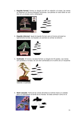 1. Erguido formal. Forma un ángulo de 90° en relación a la base, las ramas
se disponen en forma triangular horizontal. Las plantas en este estilo se ven
bien en un envase oval o rectangular
2. Erguido informal: Igual al erguido formal, pero el tronco principal es
ligeramente torcido. La maceta y la siembra es similar al anterior.
3. Inclinado: El tronco y la base forman un ángulo de 45 grados. Las ramas
son paralelas a la base. Se ven bien sembrados en el centro de un recipiente
redondo o cuadrado
4. Semi cascada: Parte de las ramas del árbol se inclinan hacia un costado
pero no sobrepasan el borde de la maceta. Se debe sembrar como en el
51
 
