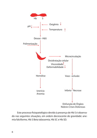 8
Este processo fisiopatológico devido à presença de Hb S é observa-
do nas seguintes situações, em ordem decrescente de gravidade: ane-
mia falciforme, Hb S Beta talassemia, Hb SC e Hb SD.
Microcirculação
Vaso - oclusão
Icterícia
Anemia
Hemólise
Polimerização
Desoxi - HbS
Oxigênio
Hb S
pH
Temperatura
Desidratação celular
Viscosidade
Deformabilidade
Infarto - Necrose
Disfunção de Órgãos
Nobres Crises Dolorosas
 