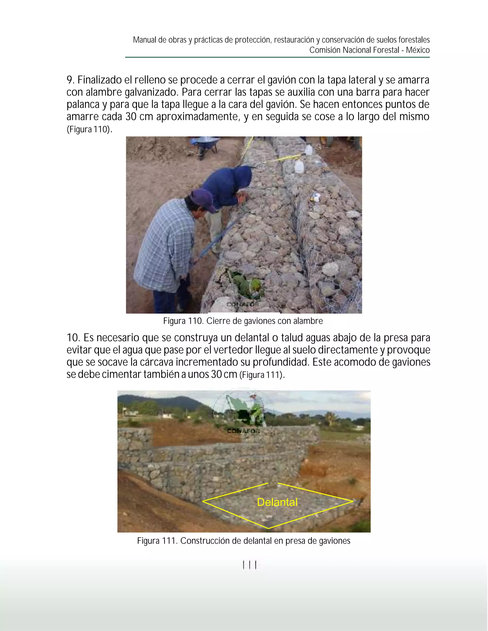 Manual de obras y prácticas de protección, restauración y conservación de suelos forestales
                                                                     Comisión Nacional Forestal - México


9. Finalizado el relleno se procede a cerrar el gavión con la tapa lateral y se amarra
con alambre galvanizado. Para cerrar las tapas se auxilia con una barra para hacer
palanca y para que la tapa llegue a la cara del gavión. Se hacen entonces puntos de
amarre cada 30 cm aproximadamente, y en seguida se cose a lo largo del mismo
(Figura 110).




                        Figura 110. Cierre de gaviones con alambre
10. Es necesario que se construya un delantal o talud aguas abajo de la presa para
evitar que el agua que pase por el vertedor llegue al suelo directamente y provoque
que se socave la cárcava incrementado su profundidad. Este acomodo de gaviones
se debe cimentar también a unos 30 cm (Figura 111).




                                                    Delantal


                Figura 111. Construcción de delantal en presa de gaviones

                                                111
 