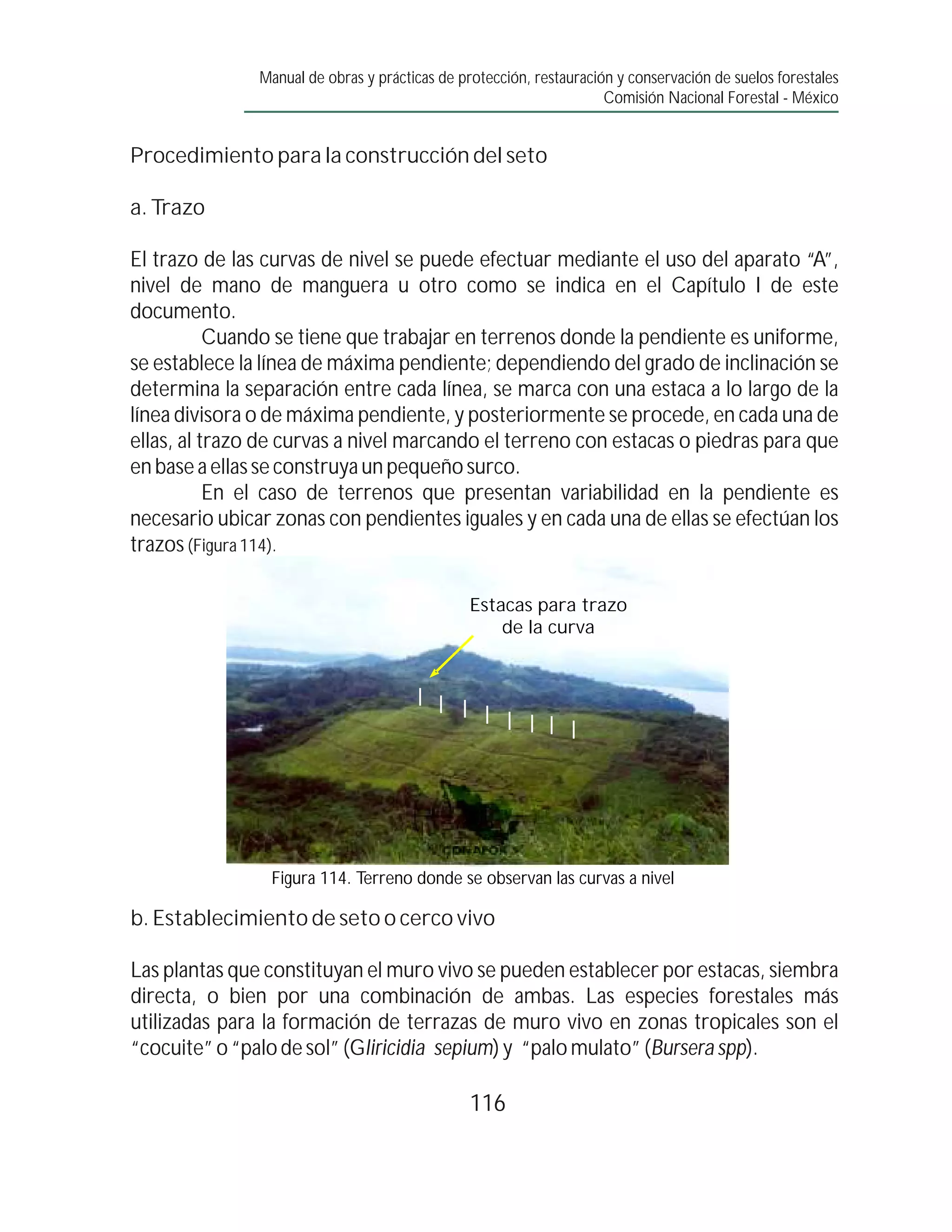 Manual de obras y prácticas de protección, restauración y conservación de suelos forestales
                                                                     Comisión Nacional Forestal - México


Procedimiento para la construcción del seto

a. Trazo

El trazo de las curvas de nivel se puede efectuar mediante el uso del aparato “A”,
nivel de mano de manguera u otro como se indica en el Capítulo I de este
documento.
           Cuando se tiene que trabajar en terrenos donde la pendiente es uniforme,
se establece la línea de máxima pendiente; dependiendo del grado de inclinación se
determina la separación entre cada línea, se marca con una estaca a lo largo de la
línea divisora o de máxima pendiente, y posteriormente se procede, en cada una de
ellas, al trazo de curvas a nivel marcando el terreno con estacas o piedras para que
en base a ellas se construya un pequeño surco.
           En el caso de terrenos que presentan variabilidad en la pendiente es
necesario ubicar zonas con pendientes iguales y en cada una de ellas se efectúan los
trazos (Figura 114).

                                                Estacas para trazo
                                                    de la curva




                Figura 114. Terreno donde se observan las curvas a nivel

b. Establecimiento de seto o cerco vivo

Las plantas que constituyan el muro vivo se pueden establecer por estacas, siembra
directa, o bien por una combinación de ambas. Las especies forestales más
utilizadas para la formación de terrazas de muro vivo en zonas tropicales son el
“cocuite” o “palo de sol” (Gliricidia sepium) y “palo mulato” (Bursera spp).

                                                116
 