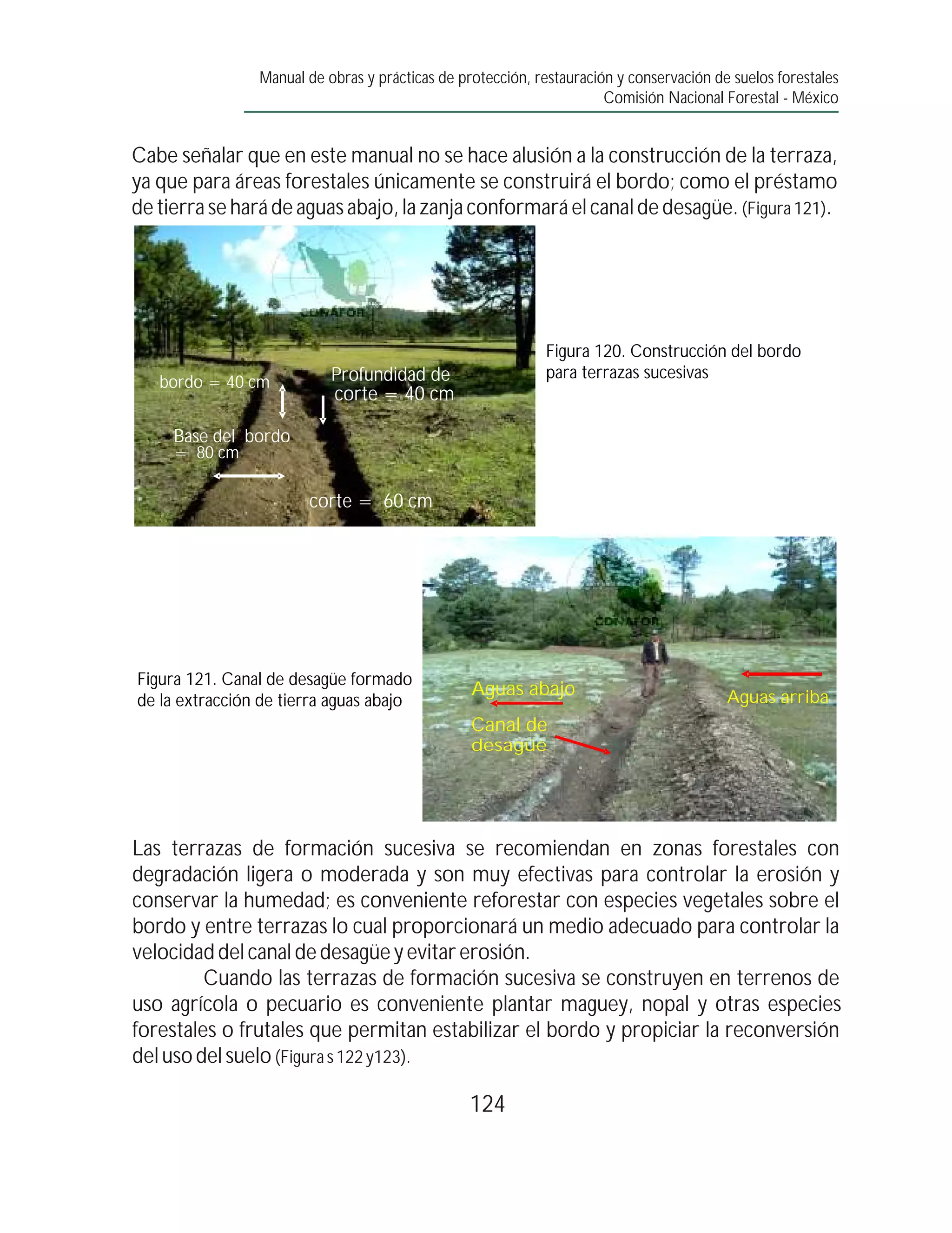 Manual de obras y prácticas de protección, restauración y conservación de suelos forestales
                                                                      Comisión Nacional Forestal - México


Cabe señalar que en este manual no se hace alusión a la construcción de la terraza,
ya que para áreas forestales únicamente se construirá el bordo; como el préstamo
de tierra se hará de aguas abajo, la zanja conformará el canal de desagüe. (Figura 121).




                                                             Figura 120. Construcción del bordo
                           Profundidad de                    para terrazas sucesivas
   bordo = 40 cm
                           corte = 40 cm

     Base del bordo
     = 80 cm

   Altura del
                       corte = 60 cm




                                 Ancho del


Figura 121. Canal de desagüe formado
                                                 Aguas abajo                             Aguas arriba
de la extracción de tierra aguas abajo
                                                 Canal de
                                                 desagüe




Las terrazas de formación sucesiva se recomiendan en zonas forestales con
degradación ligera o moderada y son muy efectivas para controlar la erosión y
conservar la humedad; es conveniente reforestar con especies vegetales sobre el
bordo y entre terrazas lo cual proporcionará un medio adecuado para controlar la
velocidad del canal de desagüe y evitar erosión.
         Cuando las terrazas de formación sucesiva se construyen en terrenos de
uso agrícola o pecuario es conveniente plantar maguey, nopal y otras especies
forestales o frutales que permitan estabilizar el bordo y propiciar la reconversión
del uso del suelo (Figura s 122 y123).

                                                 124
 