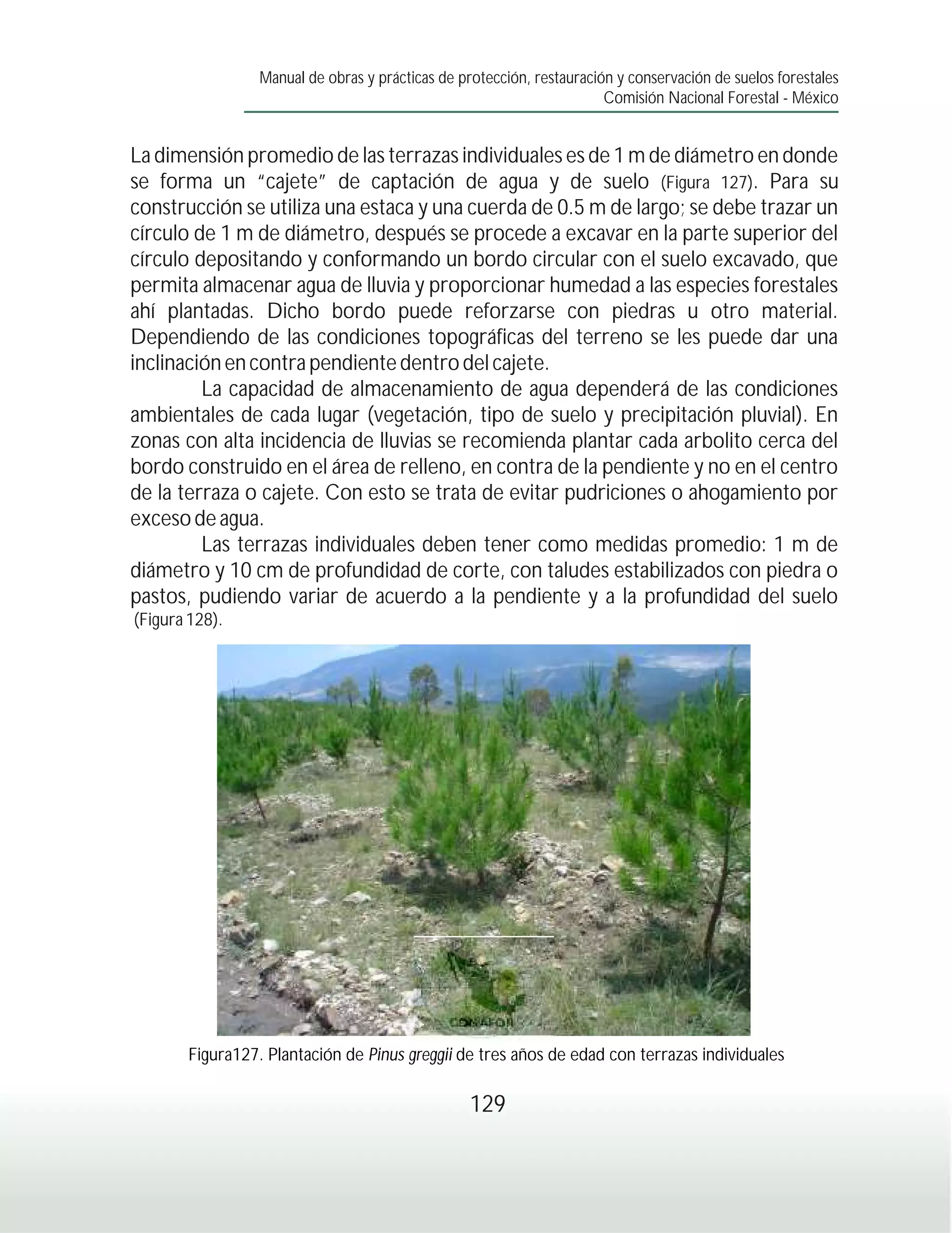 Manual de obras y prácticas de protección, restauración y conservación de suelos forestales
                                                                       Comisión Nacional Forestal - México


La dimensión promedio de las terrazas individuales es de 1 m de diámetro en donde
se forma un “cajete” de captación de agua y de suelo (Figura 127). Para su
construcción se utiliza una estaca y una cuerda de 0.5 m de largo; se debe trazar un
círculo de 1 m de diámetro, después se procede a excavar en la parte superior del
círculo depositando y conformando un bordo circular con el suelo excavado, que
permita almacenar agua de lluvia y proporcionar humedad a las especies forestales
ahí plantadas. Dicho bordo puede reforzarse con piedras u otro material.
Dependiendo de las condiciones topográficas del terreno se les puede dar una
inclinación en contra pendiente dentro del cajete.
         La capacidad de almacenamiento de agua dependerá de las condiciones
ambientales de cada lugar (vegetación, tipo de suelo y precipitación pluvial). En
zonas con alta incidencia de lluvias se recomienda plantar cada arbolito cerca del
bordo construido en el área de relleno, en contra de la pendiente y no en el centro
de la terraza o cajete. Con esto se trata de evitar pudriciones o ahogamiento por
exceso de agua.
         Las terrazas individuales deben tener como medidas promedio: 1 m de
diámetro y 10 cm de profundidad de corte, con taludes estabilizados con piedra o
pastos, pudiendo variar de acuerdo a la pendiente y a la profundidad del suelo
(Figura 128).




       Figura127. Plantación de Pinus greggii de tres años de edad con terrazas individuales

                                                  129
 