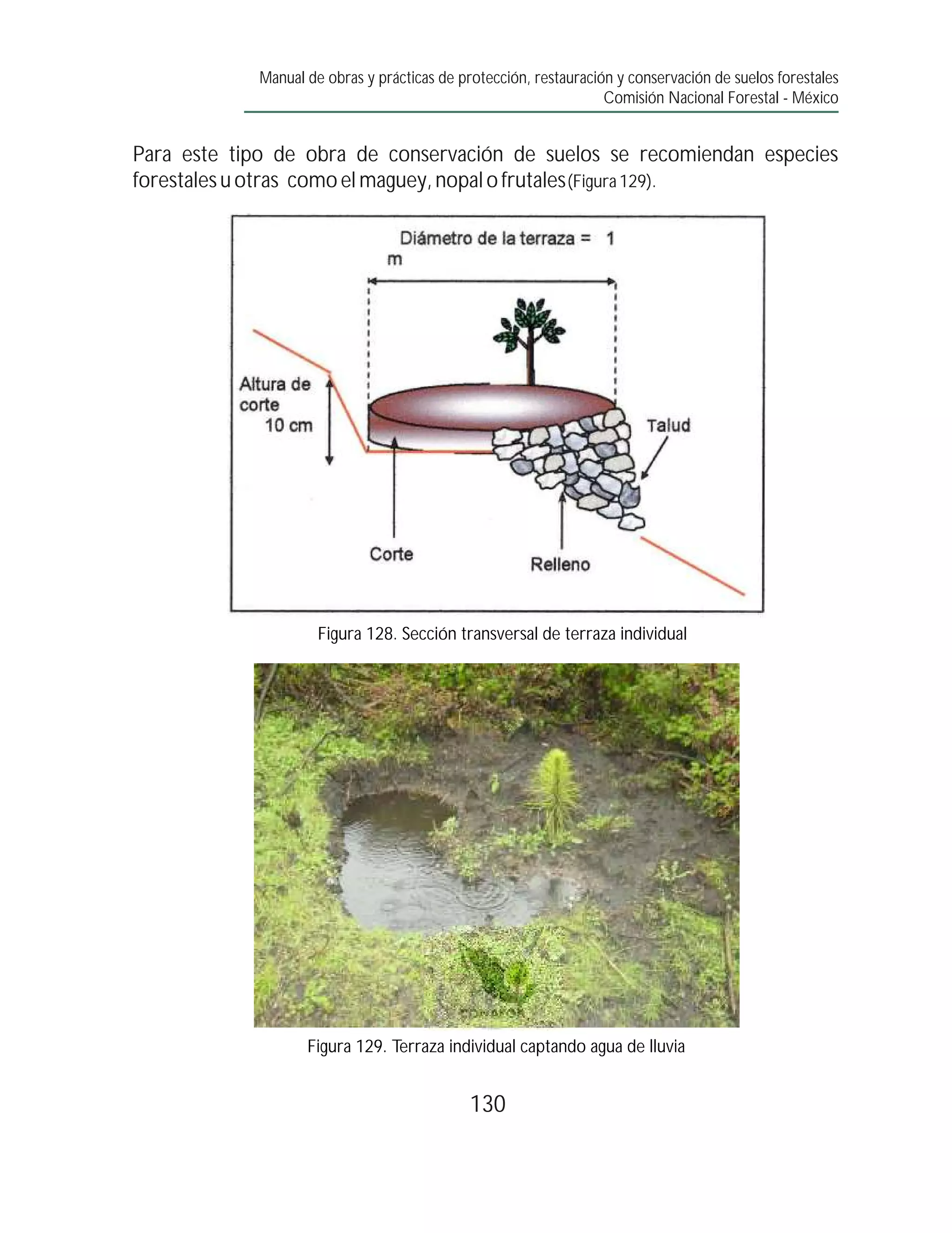 Manual de obras y prácticas de protección, restauración y conservación de suelos forestales
                                                                  Comisión Nacional Forestal - México


Para este tipo de obra de conservación de suelos se recomiendan especies
forestales u otras como el maguey, nopal o frutales (Figura 129).




                     Figura 128. Sección transversal de terraza individual




                   Figura 129. Terraza individual captando agua de lluvia


                                             130
 