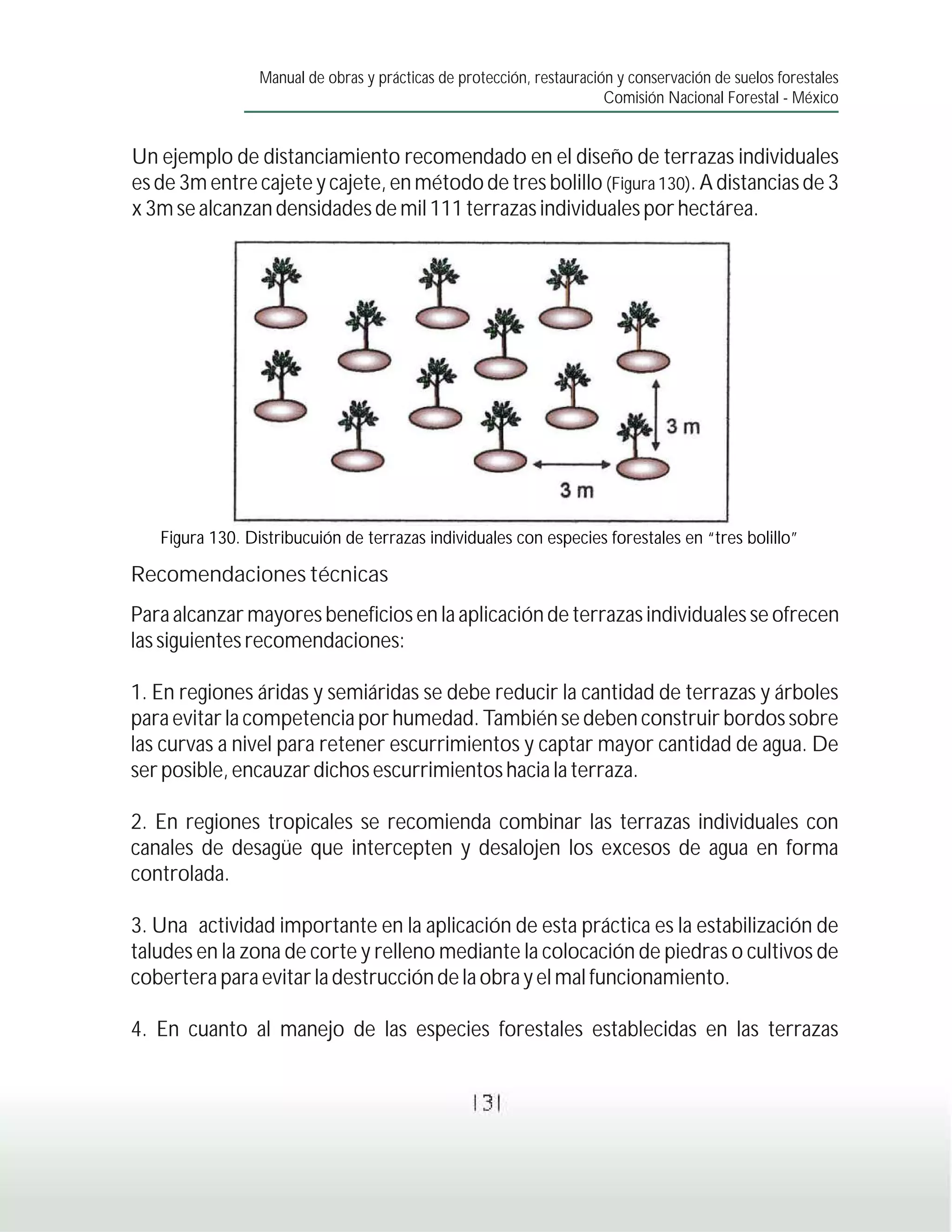 Manual de obras y prácticas de protección, restauración y conservación de suelos forestales
                                                                       Comisión Nacional Forestal - México


Un ejemplo de distanciamiento recomendado en el diseño de terrazas individuales
es de 3m entre cajete y cajete, en método de tres bolillo (Figura 130). A distancias de 3
x 3m se alcanzan densidades de mil 111 terrazas individuales por hectárea.




   Figura 130. Distribucuión de terrazas individuales con especies forestales en “tres bolillo”

Recomendaciones técnicas
Para alcanzar mayores beneficios en la aplicación de terrazas individuales se ofrecen
las siguientes recomendaciones:

1. En regiones áridas y semiáridas se debe reducir la cantidad de terrazas y árboles
para evitar la competencia por humedad. También se deben construir bordos sobre
las curvas a nivel para retener escurrimientos y captar mayor cantidad de agua. De
ser posible, encauzar dichos escurrimientos hacia la terraza.

2. En regiones tropicales se recomienda combinar las terrazas individuales con
canales de desagüe que intercepten y desalojen los excesos de agua en forma
controlada.

3. Una actividad importante en la aplicación de esta práctica es la estabilización de
taludes en la zona de corte y relleno mediante la colocación de piedras o cultivos de
cobertera para evitar la destrucción de la obra y el mal funcionamiento.

4. En cuanto al manejo de las especies forestales establecidas en las terrazas


                                                  131
 
