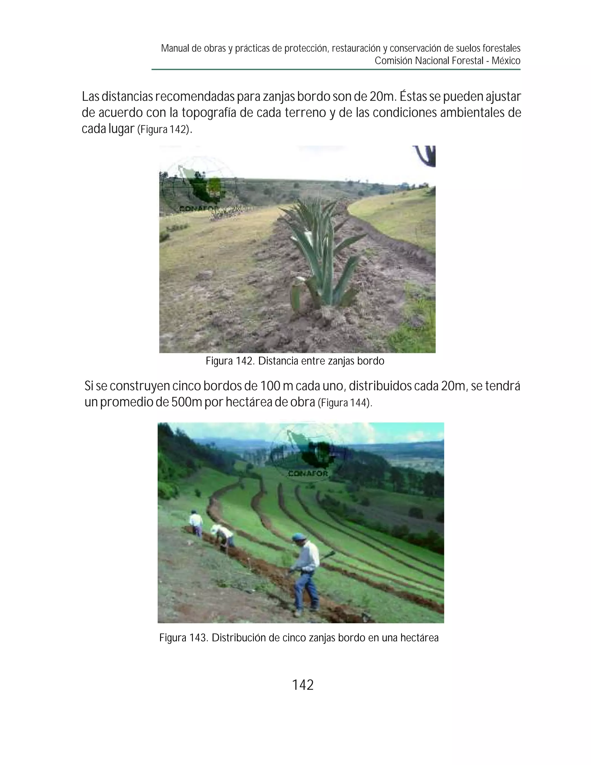 Manual de obras y prácticas de protección, restauración y conservación de suelos forestales
                                                                    Comisión Nacional Forestal - México


Las distancias recomendadas para zanjas bordo son de 20m. Éstas se pueden ajustar
de acuerdo con la topografía de cada terreno y de las condiciones ambientales de
cada lugar (Figura 142).




                         Figura 142. Distancia entre zanjas bordo

Si se construyen cinco bordos de 100 m cada uno, distribuidos cada 20m, se tendrá
un promedio de 500m por hectárea de obra (Figura 144).




              Figura 143. Distribución de cinco zanjas bordo en una hectárea



                                               142
 