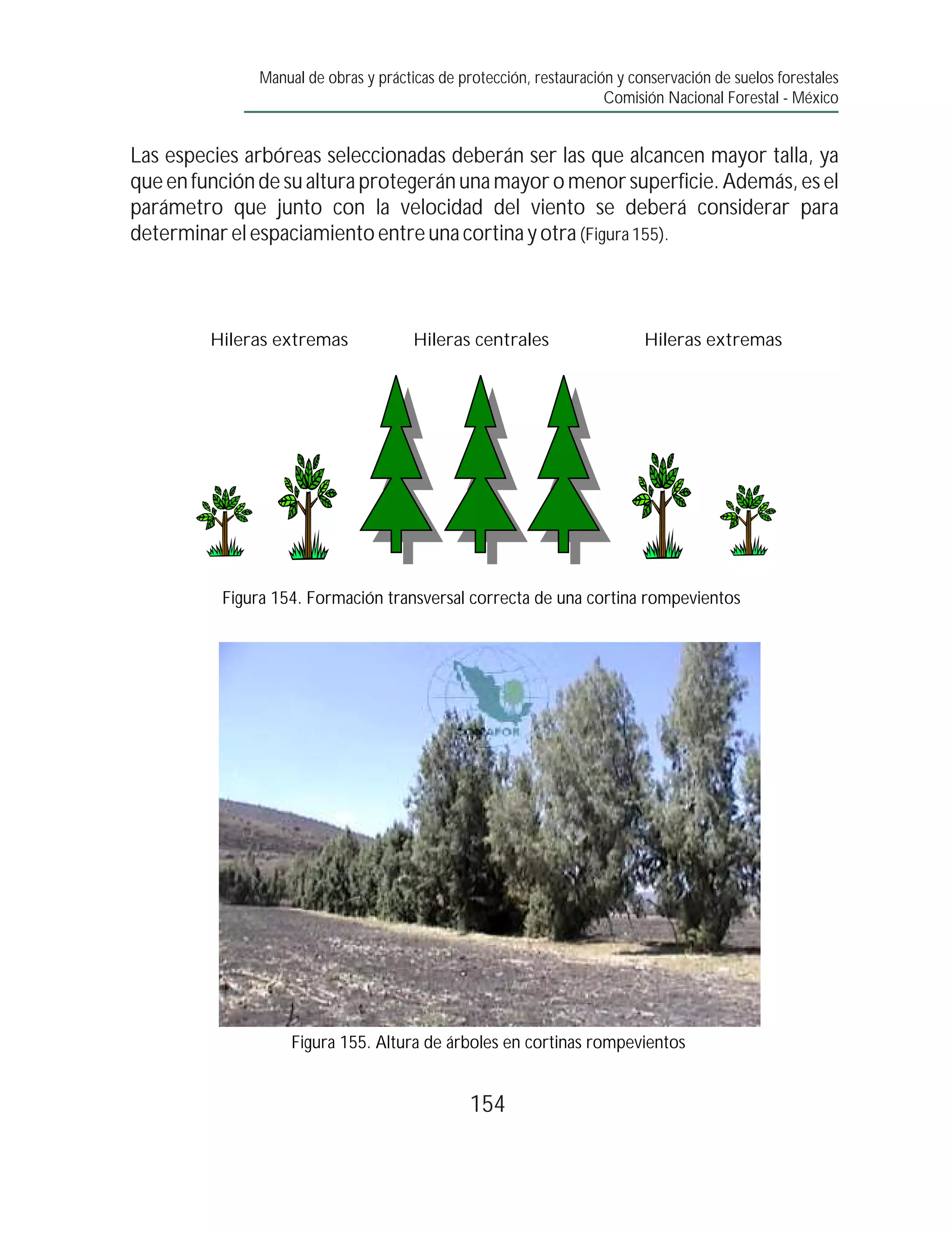 Manual de obras y prácticas de protección, restauración y conservación de suelos forestales
                                                                     Comisión Nacional Forestal - México


Las especies arbóreas seleccionadas deberán ser las que alcancen mayor talla, ya
que en función de su altura protegerán una mayor o menor superficie. Además, es el
parámetro que junto con la velocidad del viento se deberá considerar para
determinar el espaciamiento entre una cortina y otra (Figura 155).



         Hileras extremas              Hileras centrales                   Hileras extremas




          Figura 154. Formación transversal correcta de una cortina rompevientos




                    Figura 155. Altura de árboles en cortinas rompevientos


                                                154
 