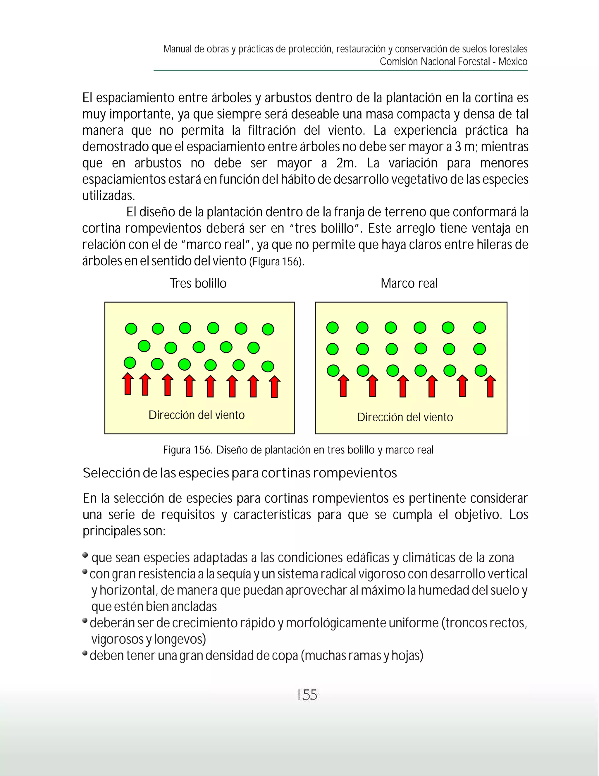 Manual de obras y prácticas de protección, restauración y conservación de suelos forestales
                                                                     Comisión Nacional Forestal - México


El espaciamiento entre árboles y arbustos dentro de la plantación en la cortina es
muy importante, ya que siempre será deseable una masa compacta y densa de tal
manera que no permita la filtración del viento. La experiencia práctica ha
demostrado que el espaciamiento entre árboles no debe ser mayor a 3 m; mientras
que en arbustos no debe ser mayor a 2m. La variación para menores
espaciamientos estará en función del hábito de desarrollo vegetativo de las especies
utilizadas.
         El diseño de la plantación dentro de la franja de terreno que conformará la
cortina rompevientos deberá ser en “tres bolillo”. Este arreglo tiene ventaja en
relación con el de “marco real”, ya que no permite que haya claros entre hileras de
árboles en el sentido del viento (Figura 156).
                Tres bolillo                                         Marco real




            Dirección del viento                               Dirección del viento

               Figura 156. Diseño de plantación en tres bolillo y marco real

Selección de las especies para cortinas rompevientos
En la selección de especies para cortinas rompevientos es pertinente considerar
una serie de requisitos y características para que se cumpla el objetivo. Los
principales son:
 que sean especies adaptadas a las condiciones edáficas y climáticas de la zona
 con gran resistencia a la sequía y un sistema radical vigoroso con desarrollo vertical
 y horizontal, de manera que puedan aprovechar al máximo la humedad del suelo y
 que estén bien ancladas
 deberán ser de crecimiento rápido y morfológicamente uniforme (troncos rectos,
 vigorosos y longevos)
 deben tener una gran densidad de copa (muchas ramas y hojas)

                                                155
 