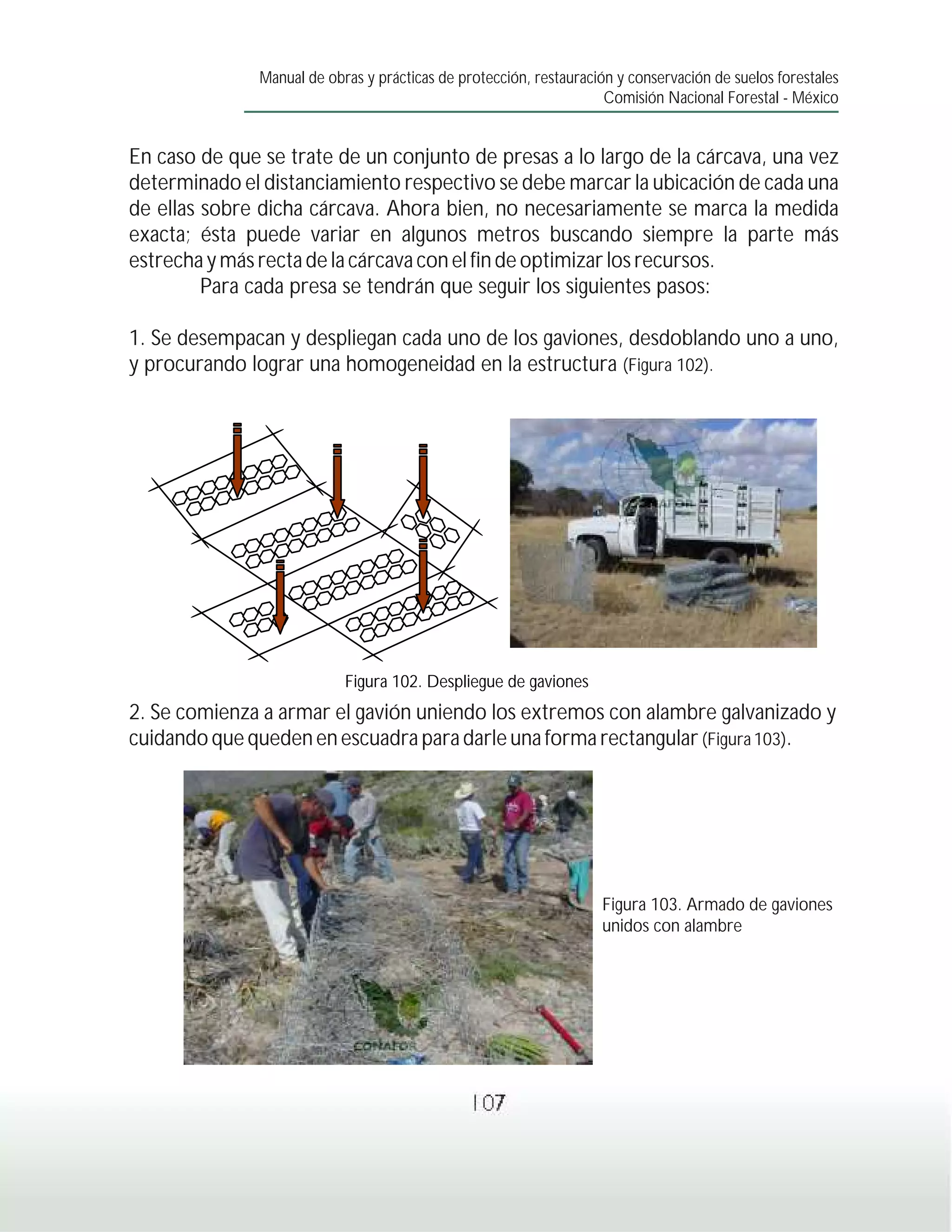 Manual de obras y prácticas de protección, restauración y conservación de suelos forestales
                                                                     Comisión Nacional Forestal - México


En caso de que se trate de un conjunto de presas a lo largo de la cárcava, una vez
determinado el distanciamiento respectivo se debe marcar la ubicación de cada una
de ellas sobre dicha cárcava. Ahora bien, no necesariamente se marca la medida
exacta; ésta puede variar en algunos metros buscando siempre la parte más
estrecha y más recta de la cárcava con el fin de optimizar los recursos.
         Para cada presa se tendrán que seguir los siguientes pasos:

1. Se desempacan y despliegan cada uno de los gaviones, desdoblando uno a uno,
y procurando lograr una homogeneidad en la estructura (Figura 102).




                            Figura 102. Despliegue de gaviones
2. Se comienza a armar el gavión uniendo los extremos con alambre galvanizado y
cuidando que queden en escuadra para darle una forma rectangular (Figura 103).




                                                                    Figura 103. Armado de gaviones
                                                                    unidos con alambre




                                                107
 