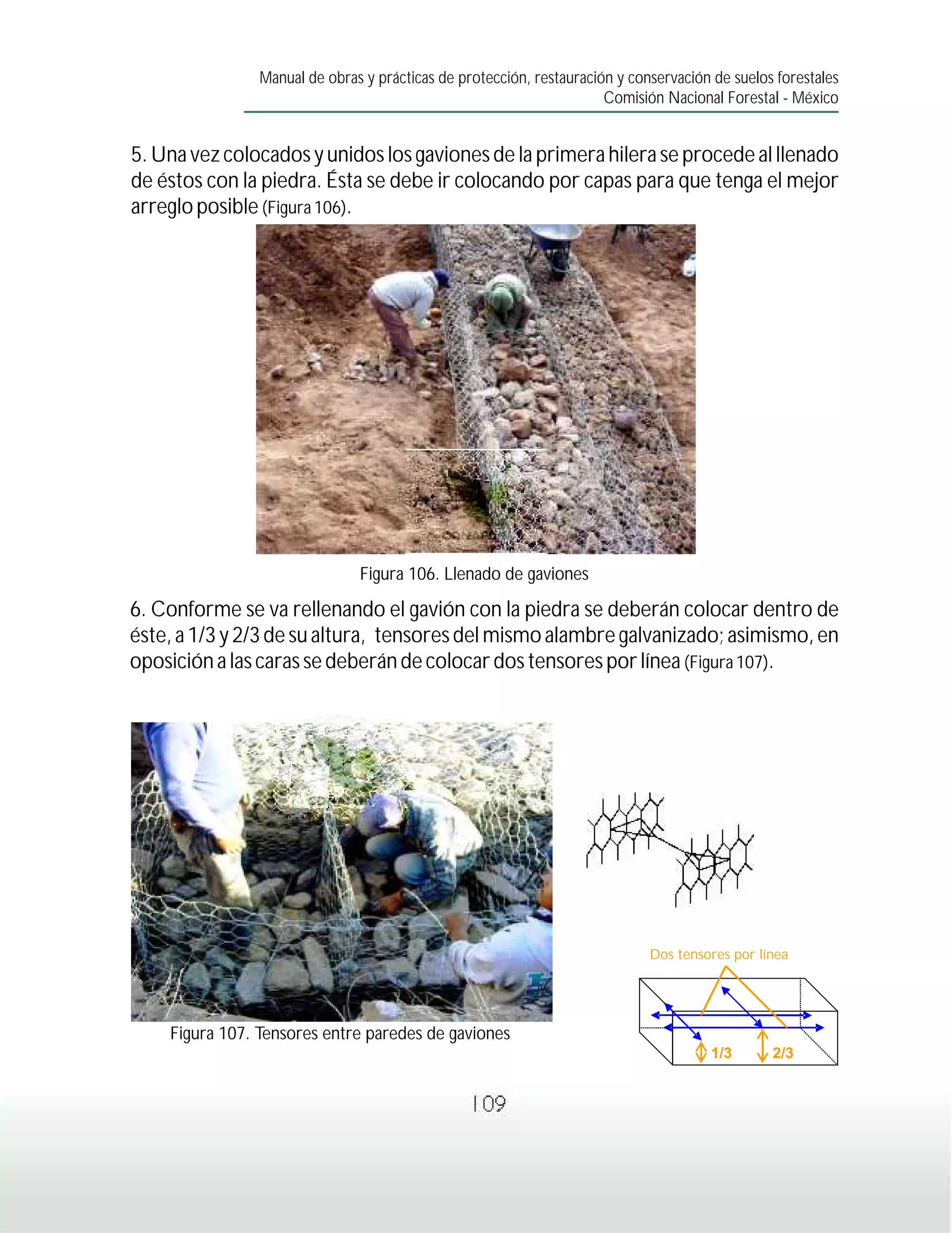 Manual de obras y prácticas de protección, restauración y conservación de suelos forestales
                                                                      Comisión Nacional Forestal - México


5. Una vez colocados y unidos los gaviones de la primera hilera se procede al llenado
de éstos con la piedra. Ésta se debe ir colocando por capas para que tenga el mejor
arreglo posible (Figura 106).




                               Figura 106. Llenado de gaviones

6. Conforme se va rellenando el gavión con la piedra se deberán colocar dentro de
éste, a 1/3 y 2/3 de su altura, tensores del mismo alambre galvanizado; asimismo, en
oposición a las caras se deberán de colocar dos tensores por línea (Figura 107).




                                                                             Dos tensores por línea




    Figura 107. Tensores entre paredes de gaviones
                                                                                      1/3       2/3


                                                 109
 