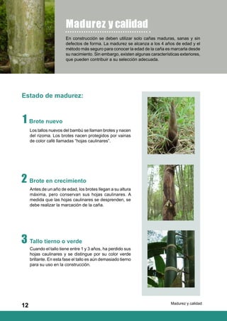 Manual Construccion Bambu.pdf