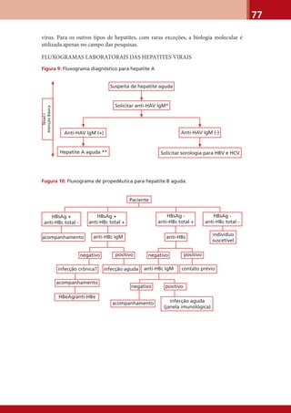 77
vírus. Para os outros tipos de hepatites, com raras exceções, a biologia molecular é
utilizada apenas no campo das pesquisas.
FLUXOGRAMAS LABORATORAIS DAS HEPATITES VIRAIS
Figura 9: Fluxograma diagnóstico para hepatite A
Fugura 10: Fluxograma de propedêutica para hepatite B aguda.
Suspeita de hepatite aguda
Solicitar anti-HAV IgM*
Anti-HAV IgM (+) Anti-HAV IgM (-)
Solicitar sorologia para HBV e HCVHepatite A aguda **
NívelI
AtençãoBásica
Paciente
negativo positivo
negativonegativo positivo positivo
HBsAg +
anti-HBc total -
HBsAg +
anti-HBc total +
HBsAg -
anti-HBc total +
HBsAg -
anti-HBc total -
acompanhamento anti-HBc IgM anti-HBs
indivíduo
suscetível
infecção aguda anti-HBc IgM contato prévioinfecção crônica?
acompanhamento
HBeAg/anti-HBe
acompanhamento infecção aguda
(janela imunológica)
 