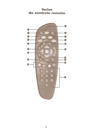 Manual controle remoto universal sky