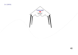 5.4. CARPAS
40
 