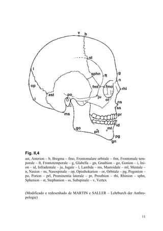 11
Fig. II,4
ast, Asterion – b, Bregma – fmo, Frontomalare orbitale – fmt, Frontomale tem-
porale – ft, Frontotemporale – g, Glabella – gn, Gnathion – go, Gonion – i, Ini-
on – id, Infradentale – ju, Jugale – l, Lambda – ms, Mastoidale – ml, Mentale –
n, Nasion – ns, Nasospinale – op, Opisthokarion – or, Orbitale – pg, Pogonion –
po, Porion – prl, Prominentia laterale – pr, Prosthion – rhi, Rhinion – sphn,
Sphenion – st, Stephanion – ss, Subspinale – v, Vertex
(Modificado e redesenhado de MARTIN e SALLER – Lehrburch der Anthro-
pologie)
 