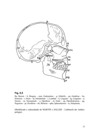 12
Fig. II,5
Ba, Basion – b, Bregma – enm, Endomalare – g, Glabella – gn, Gnathion – ho,
Hormion – i, Inion – id, Infradentale – l, Lambda – li, Linguale – lg, Lingulare – n,
Nasion – ns, Nasospinale – o, Opisthion – ol, Orale – op, Opisthokranion – pg,
Pogonion – pr, Prosthion – rhi, Rhinion – spha, Sphenobasion – ss, Subspinale.
(Modificado e redesenhado de MARTIN e SALLER – Lehrburch der Anthro-
pologie)
 