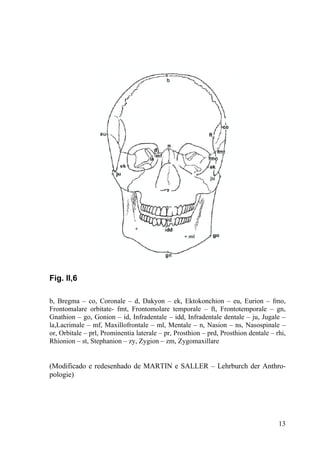 13
Fig. II,6
b, Bregma – co, Coronale – d, Dakyon – ek, Ektokonchion – eu, Eurion – fmo,
Frontomalare orbitate- fmt, Frontomolare temporale – ft, Frontotemporale – gn,
Gnathion – go, Gonion – id, Infradentale – idd, Infradentale dentale – ju, Jugale –
la,Lacrimale – mf, Maxillofrontale – ml, Mentale – n, Nasion – ns, Nasospinale –
or, Orbitale – prl, Prominentia laterale – pr, Prosthion – prd, Prosthion dentale – rhi,
Rhionion – st, Stephanion – zy, Zygion – zm, Zygomaxillare
(Modificado e redesenhado de MARTIN e SALLER – Lehrburch der Anthro-
pologie)
 