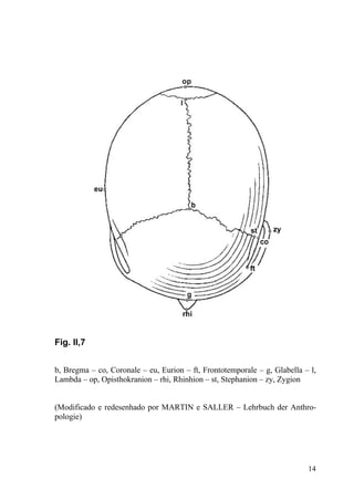 14
Fig. II,7
b, Bregma – co, Coronale – eu, Eurion – ft, Frontotemporale – g, Glabella – l,
Lambda – op, Opisthokranion – rhi, Rhinhion – st, Stephanion – zy, Zygion
(Modificado e redesenhado por MARTIN e SALLER – Lehrbuch der Anthro-
pologie)
 