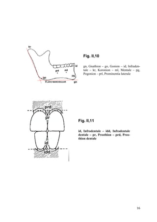 16
Fig. II,10
gn, Gnathion – go, Gonion – id, Infraden-
tale – kr, Koronion – ml, Mentale – pg,
Pogonion – prl, Prominentia laterale
Fig. II,11
id, Infradentale – idd, Infradentale
dentale – pr, Prosthion – prd, Pros-
thion dentale
 