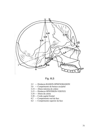 31
Fig. III,5
3,5 — Distância BASION-SPHENOBASION
3,6 — Comprimento do buraco occipital
3,14 — Altura máxima do crânio
3,15 — Distância OPISTHION-VERTEX
3,18 — Altura da calota
3,30 — Corda sagital frontal
4,2 — Comprimento real da face
4,4 — Comprimento superior da face
 